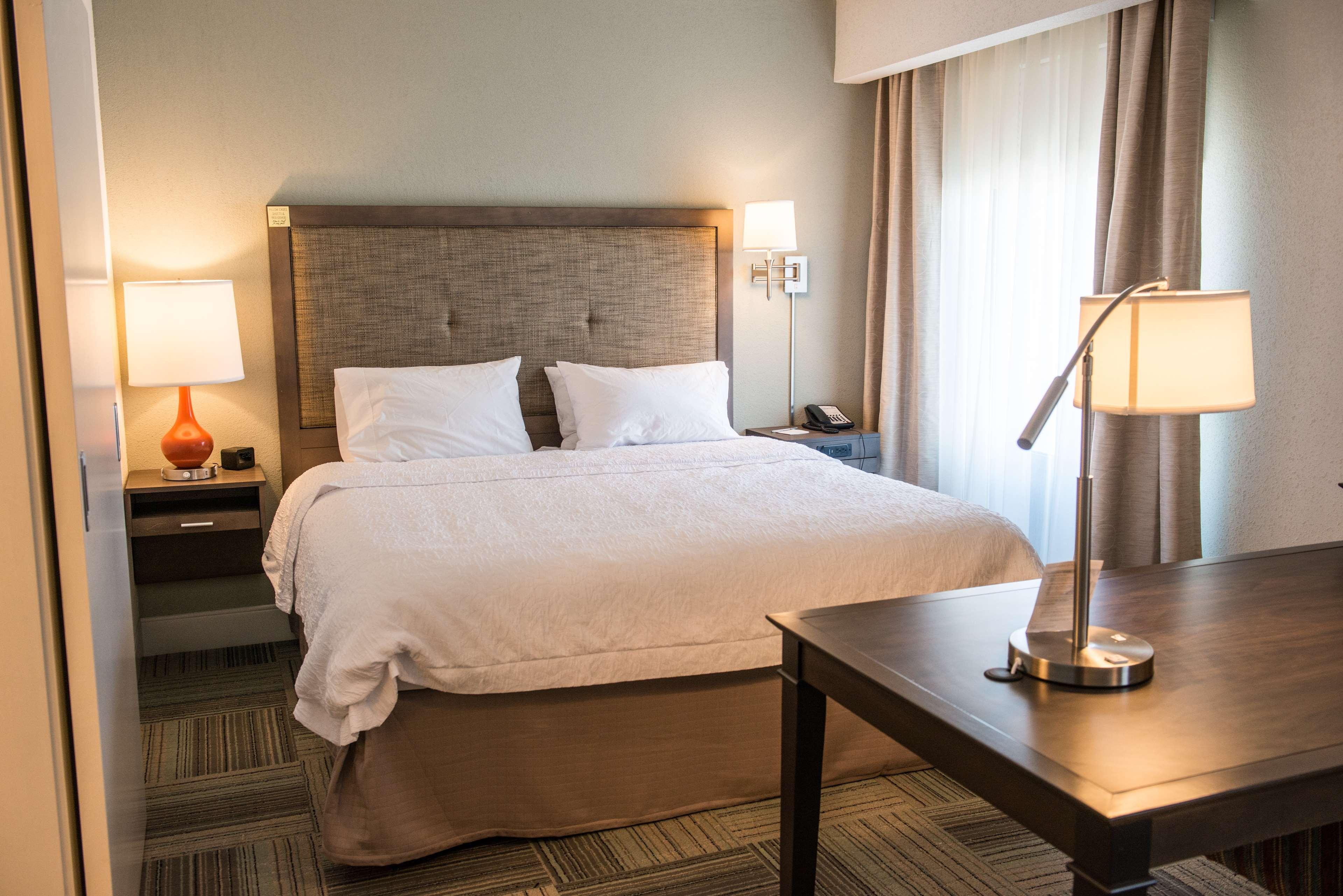 Suite King Bed Non Smoking