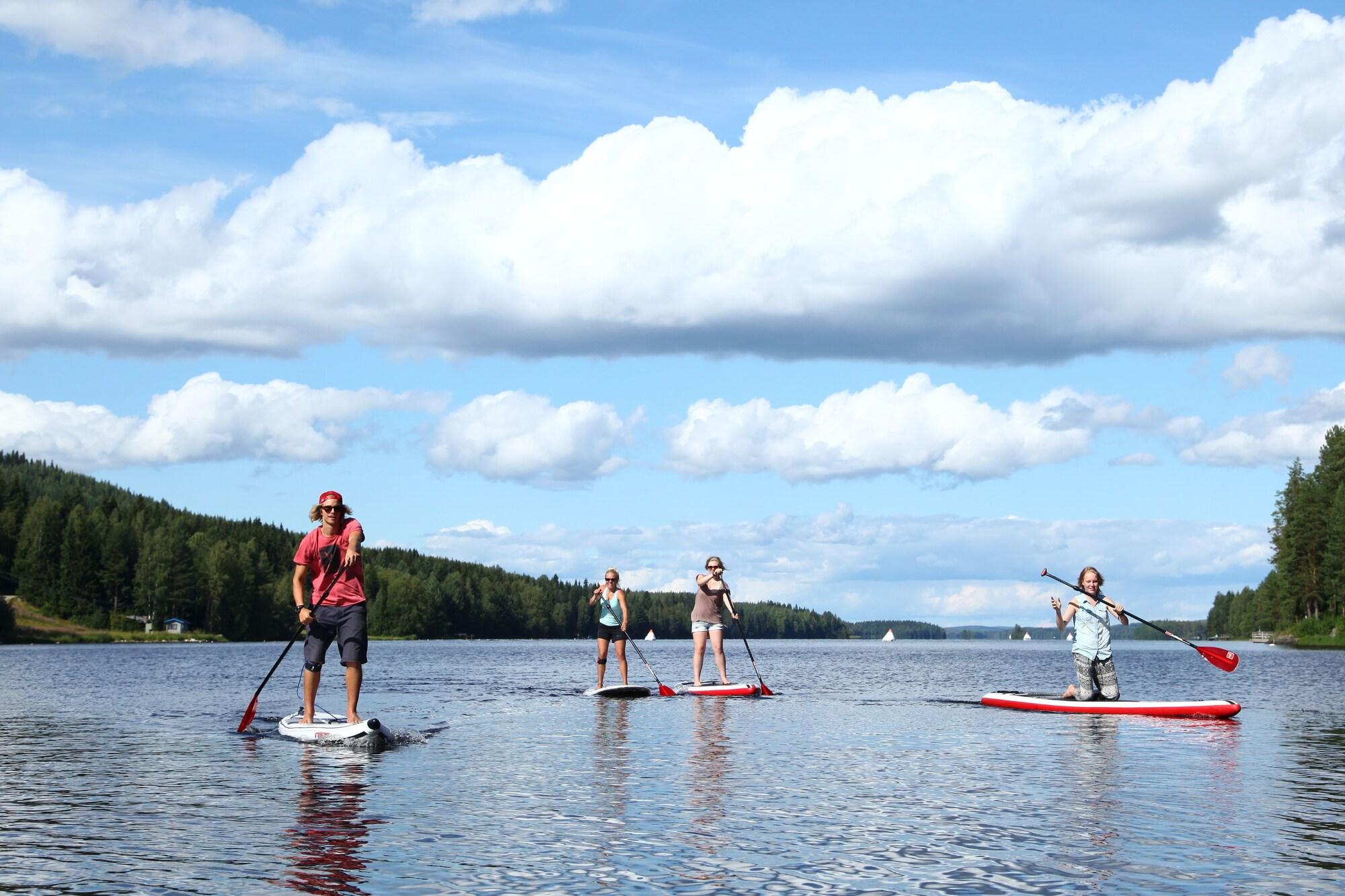 Sports and Entertainment