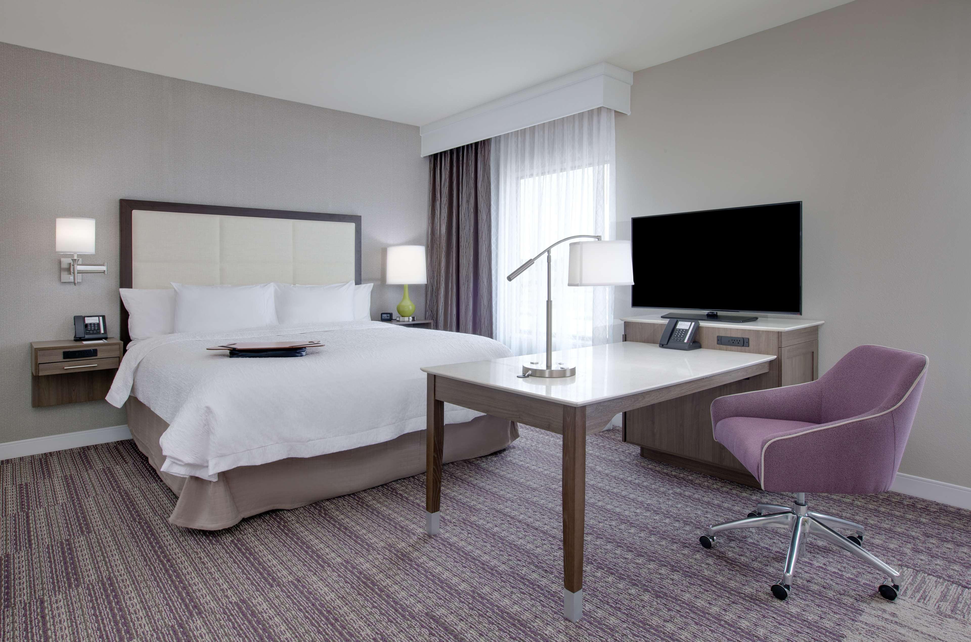 Suite King Bed Non Smoking