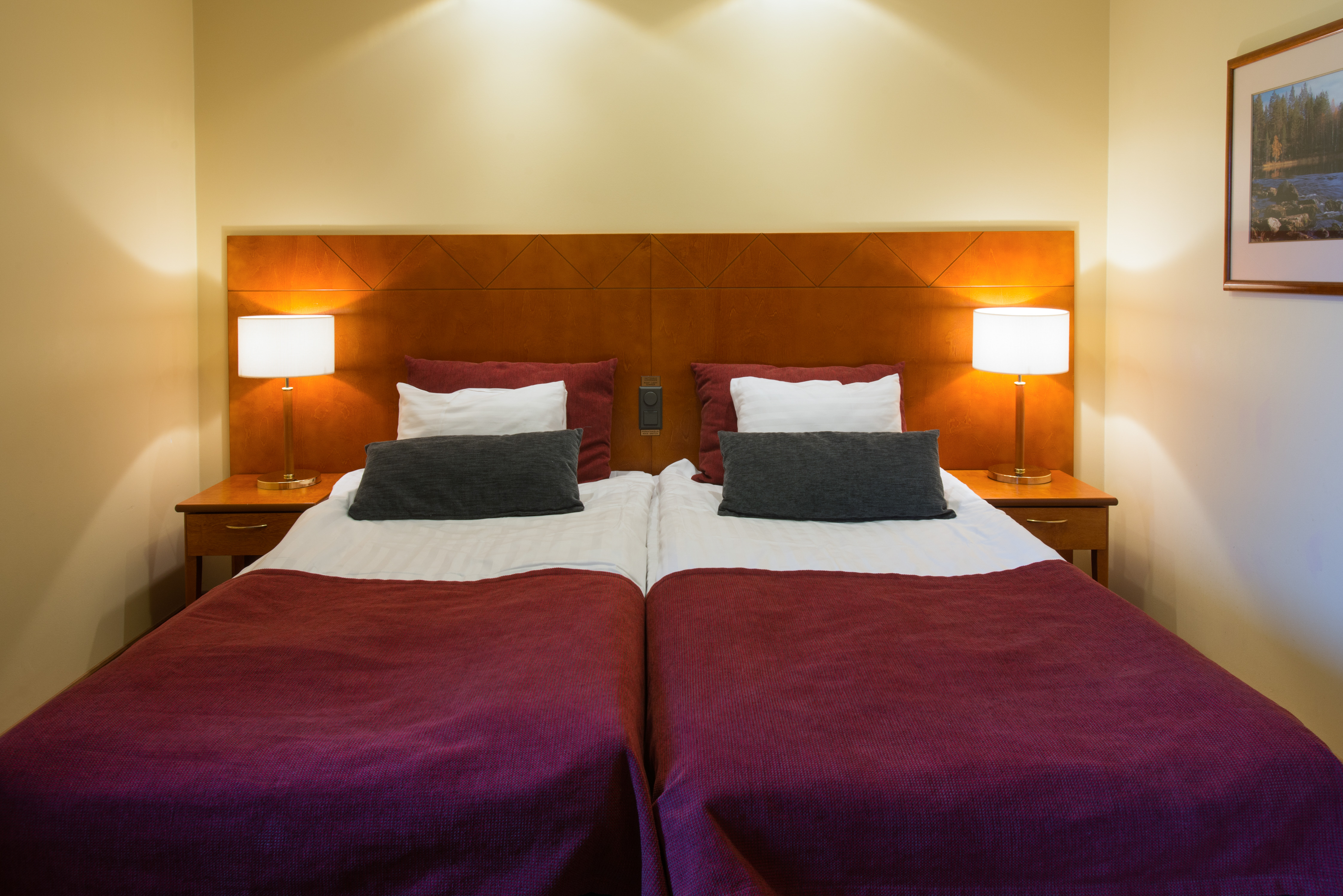 Junior Suite Standard