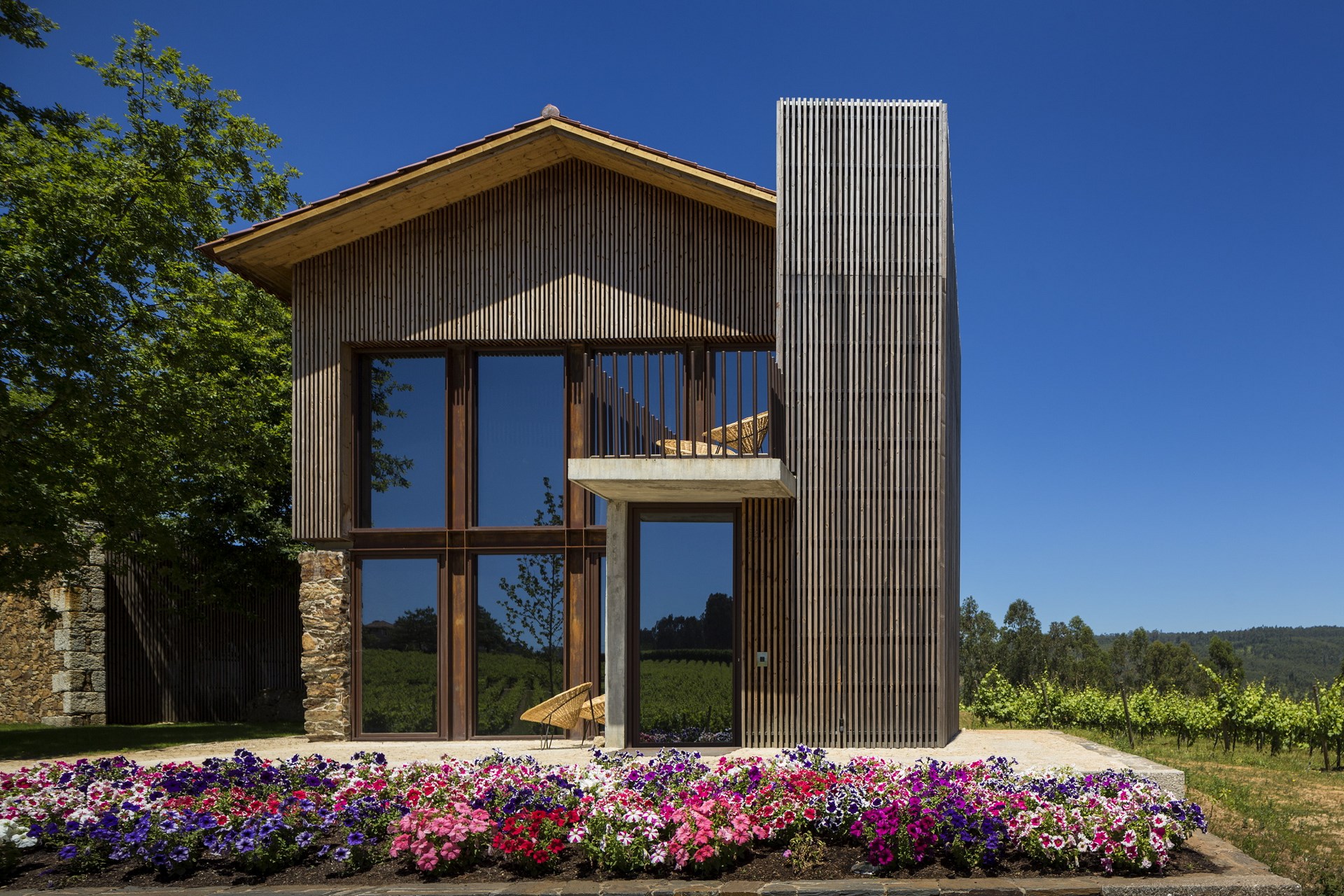 Family Room Standard