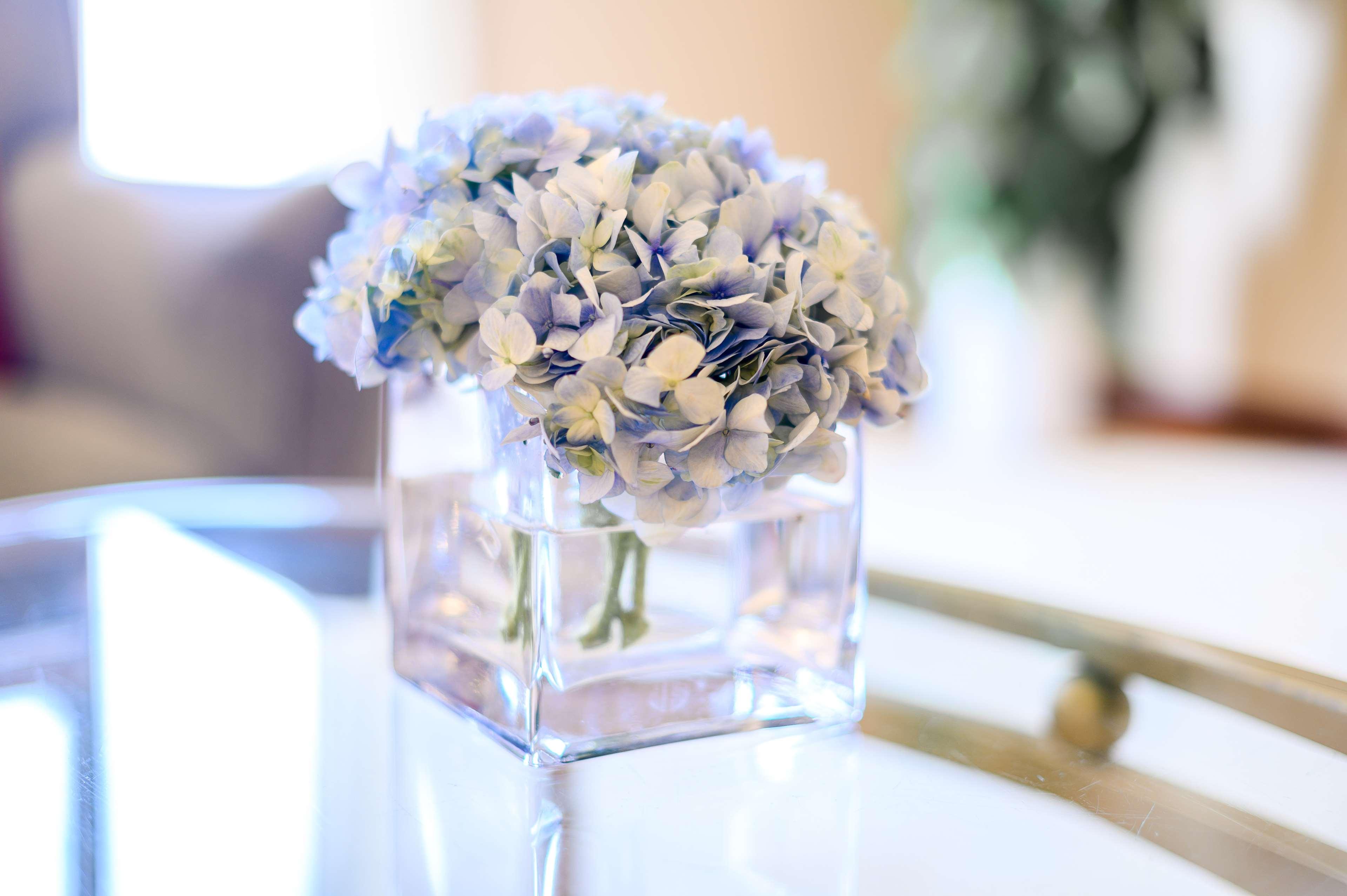 Suite Deluxe King Bed