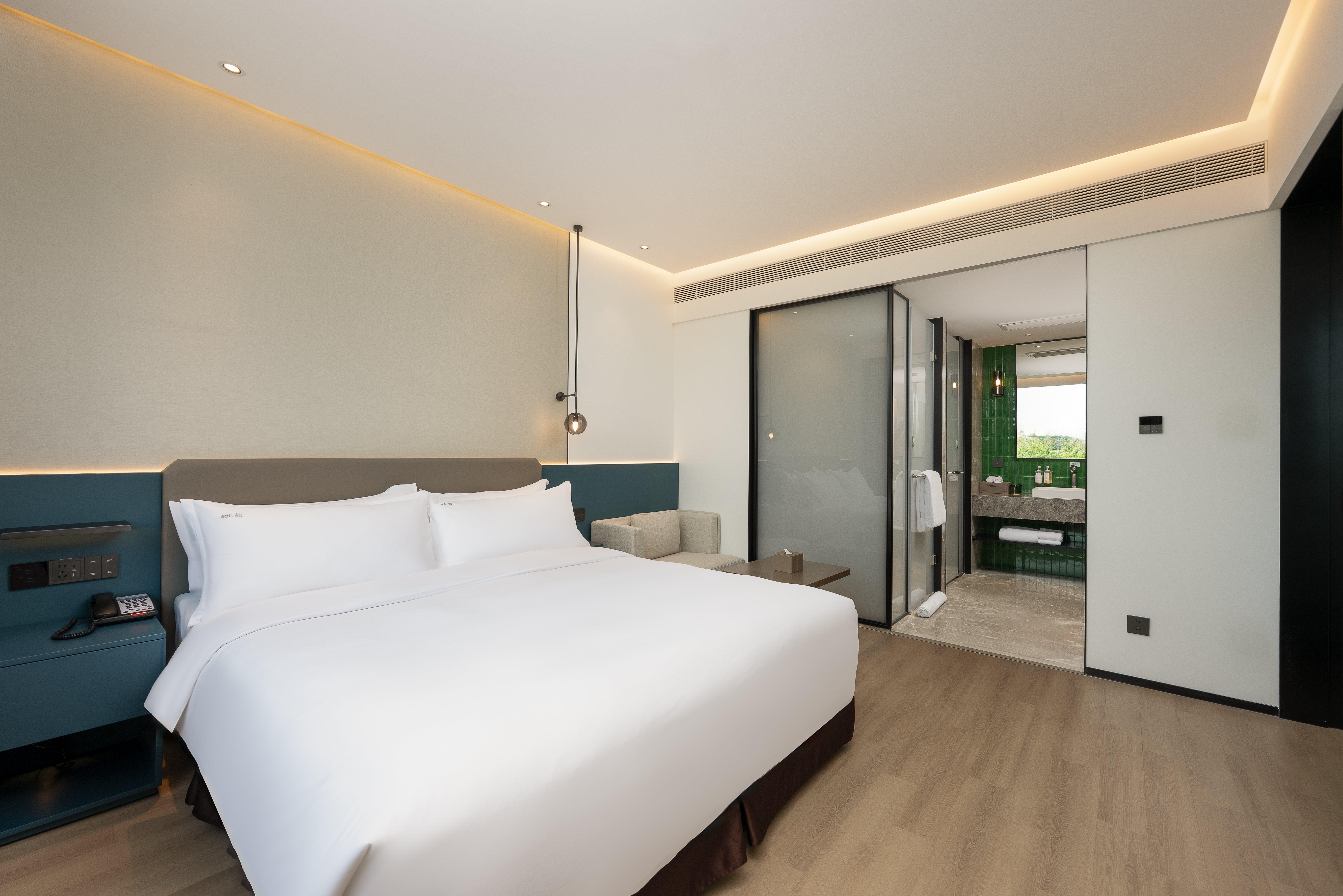 Suite King Bed One Bedroom 