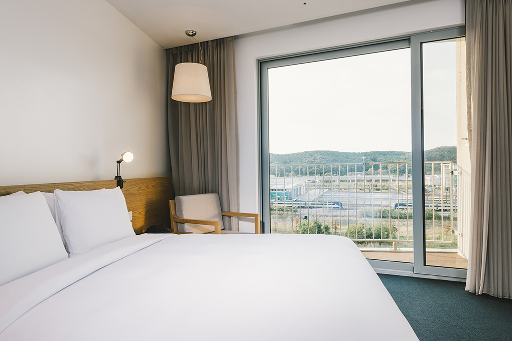 Double Mountain View