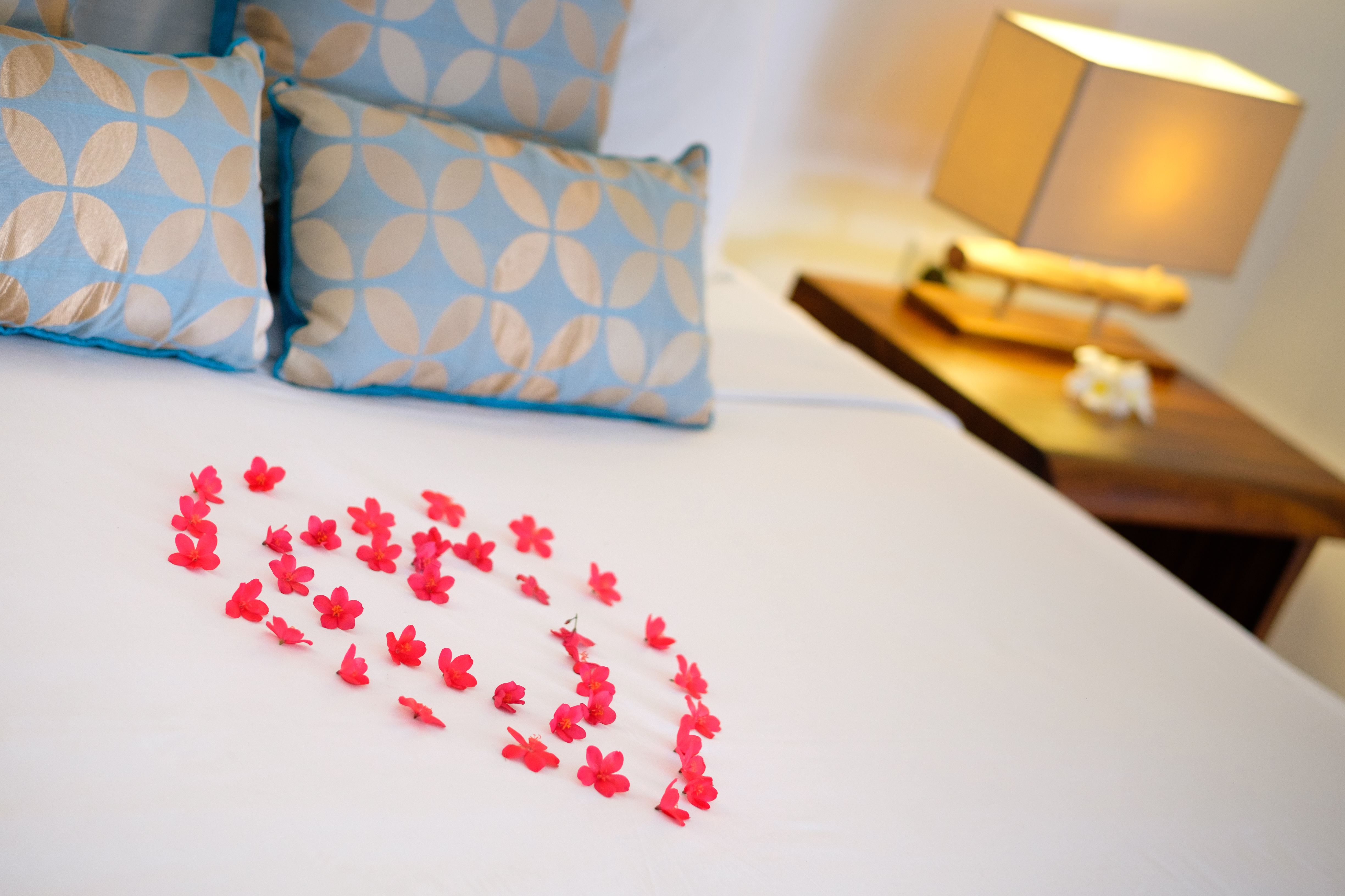 Bungalow Honeymoon