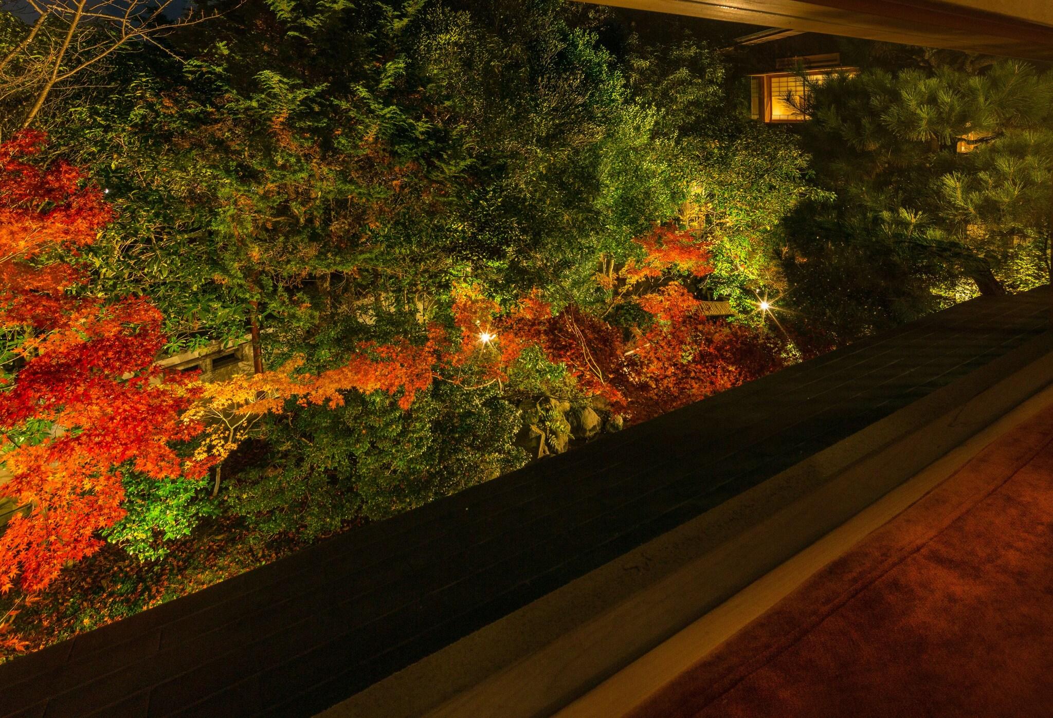 Studio Deluxe Garden View