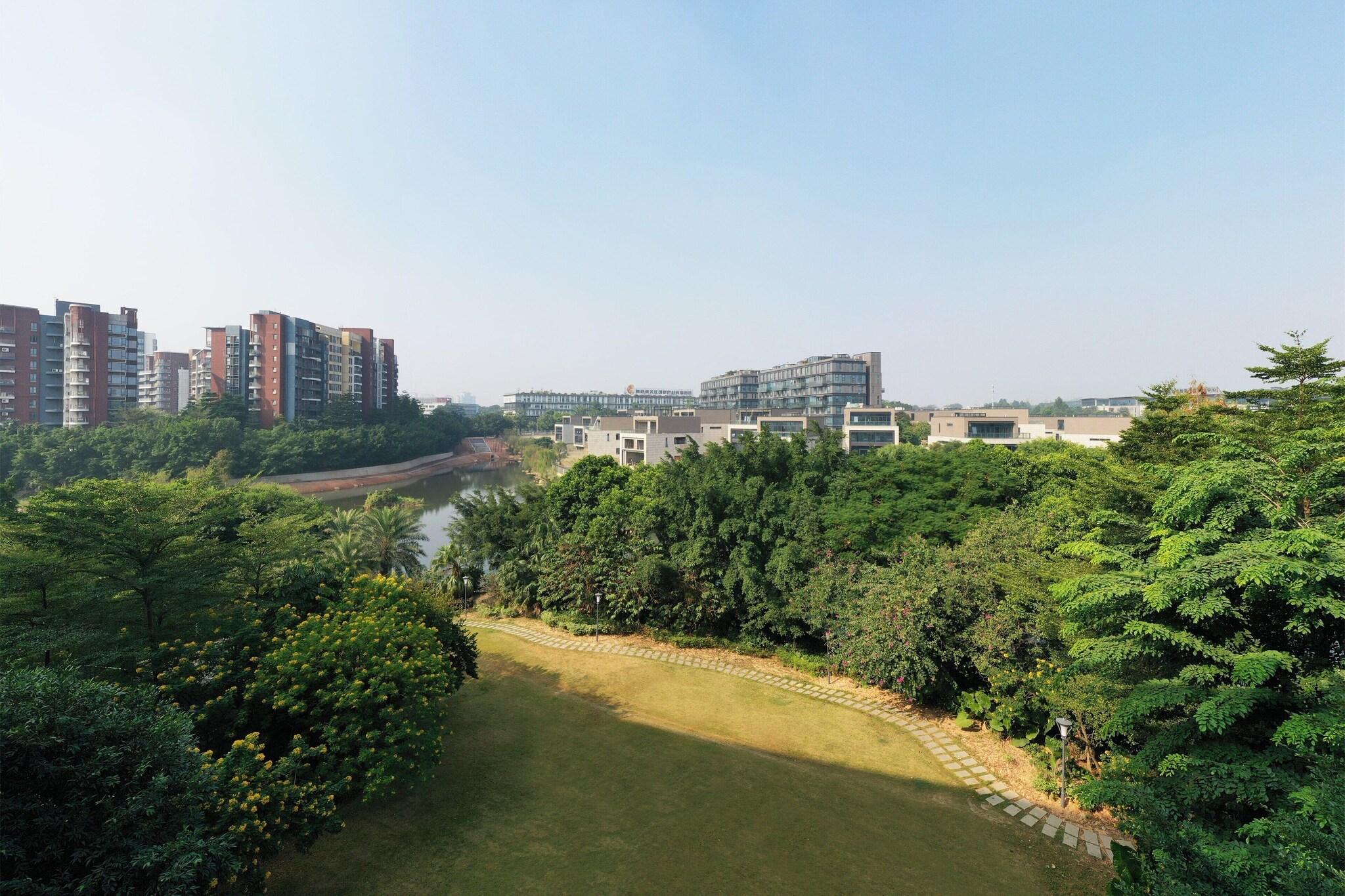 Double Park View
