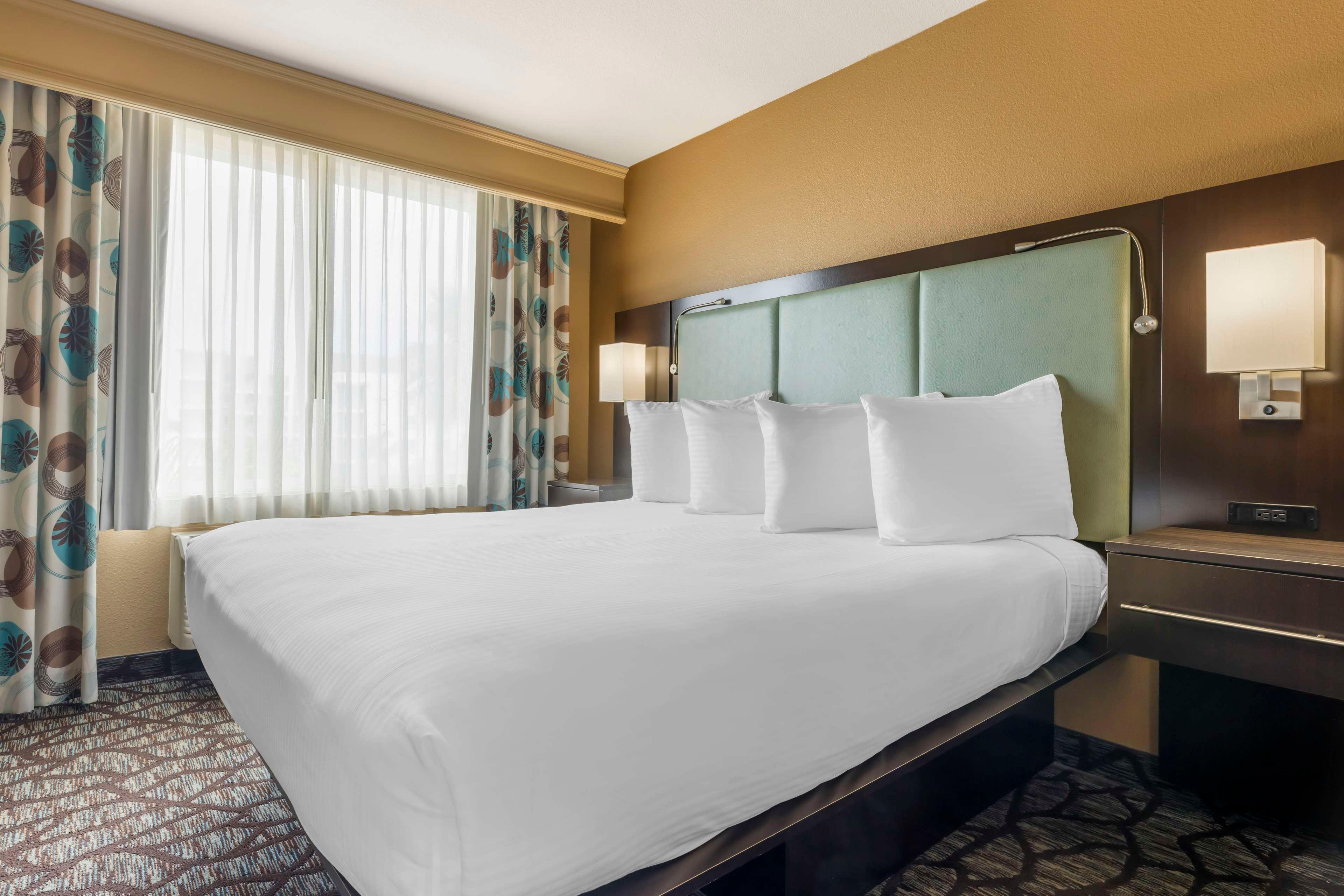 Room Accessible King Size Bed