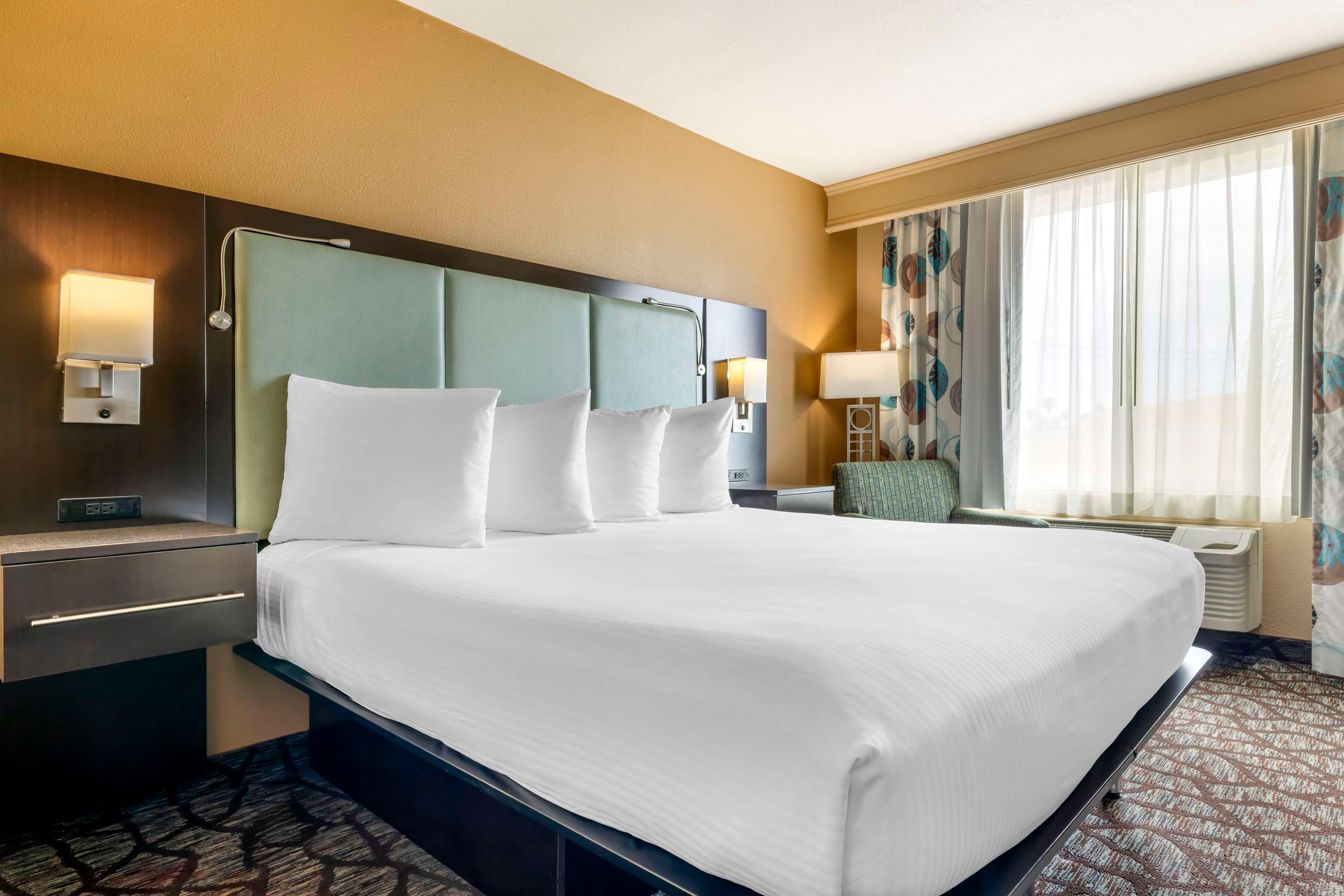 Room Accessible King Size Bed