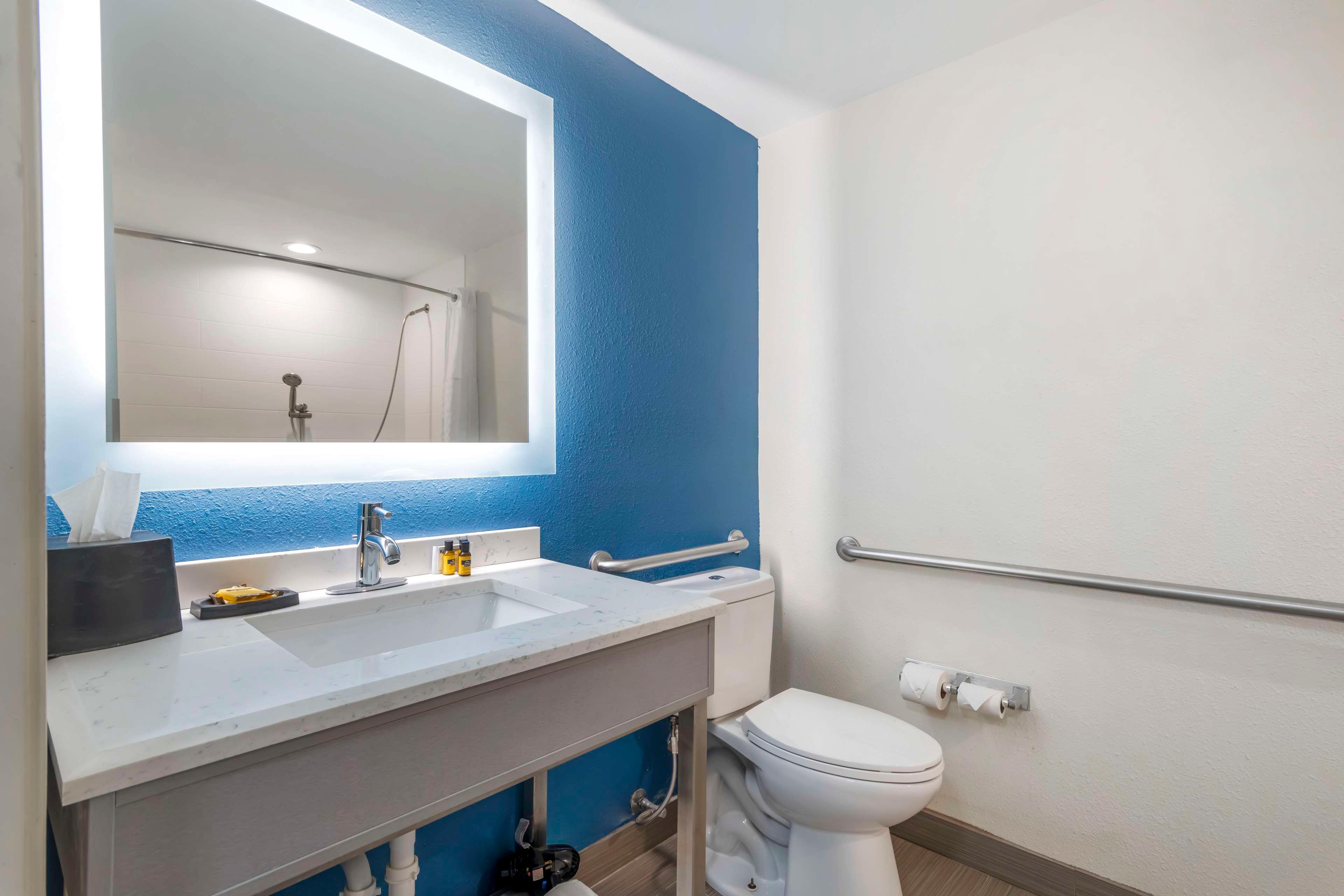 Suite Accessible King Size Bed