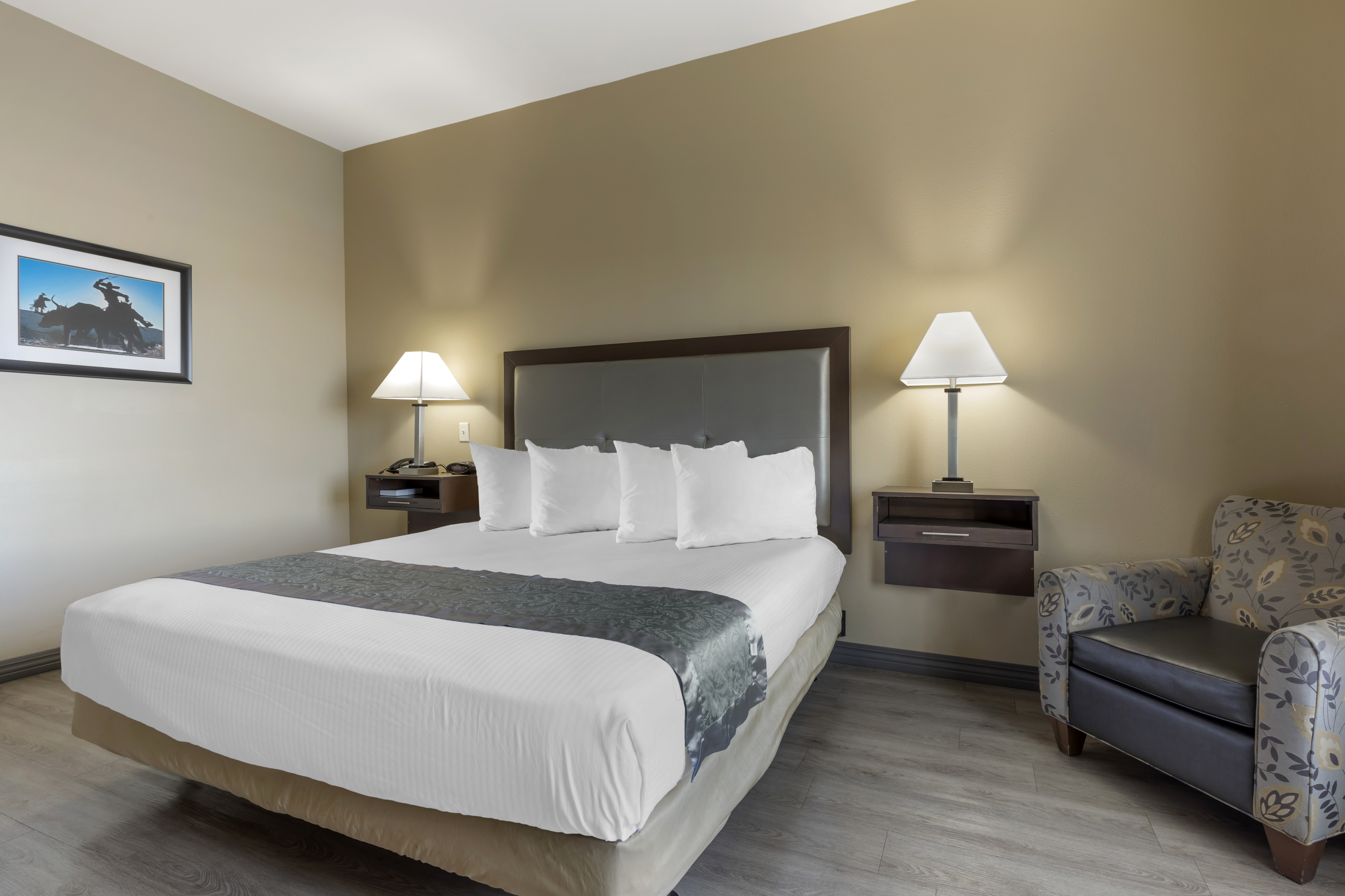 Suite King Bed Non Smoking