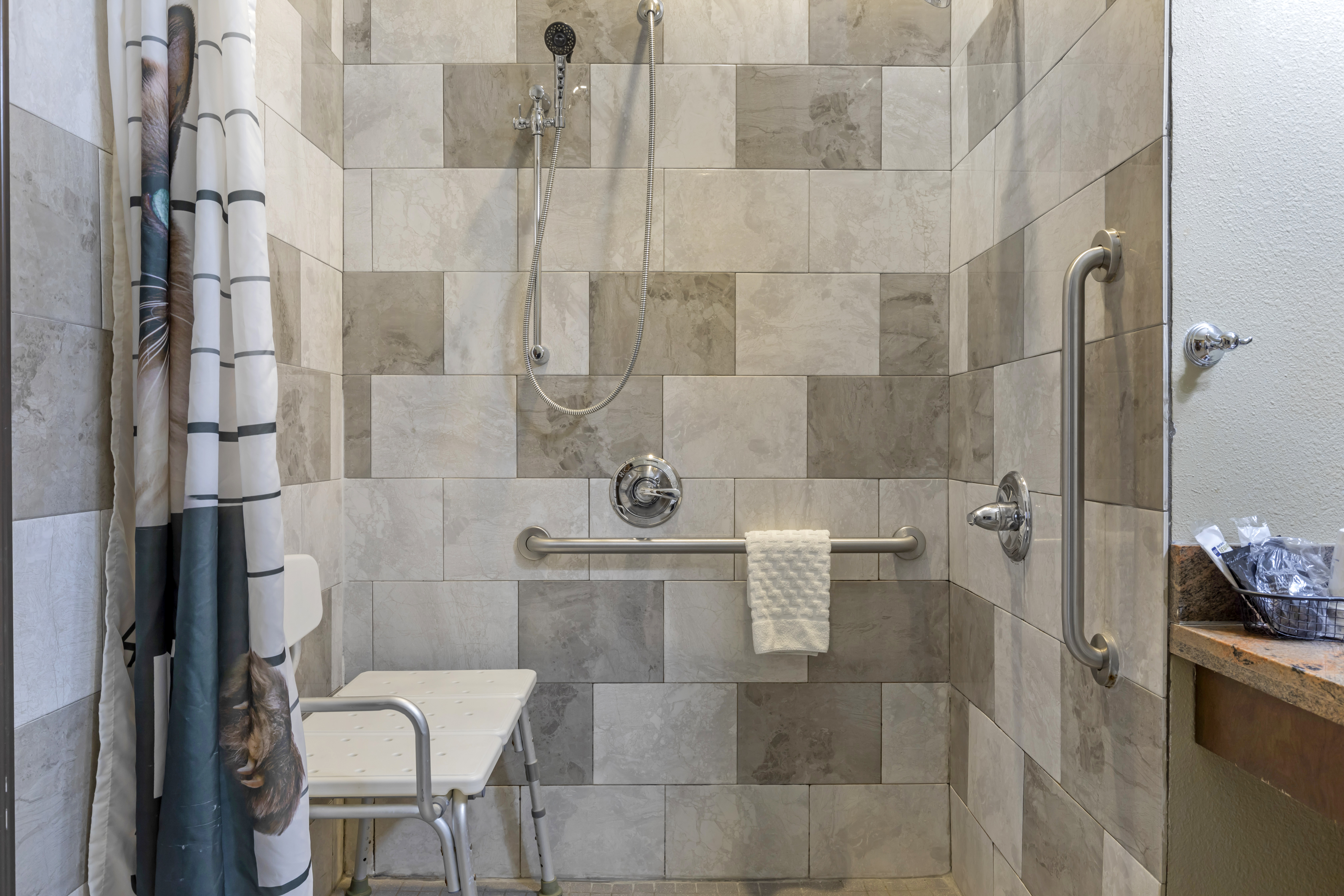 Suite King Bed Non Smoking