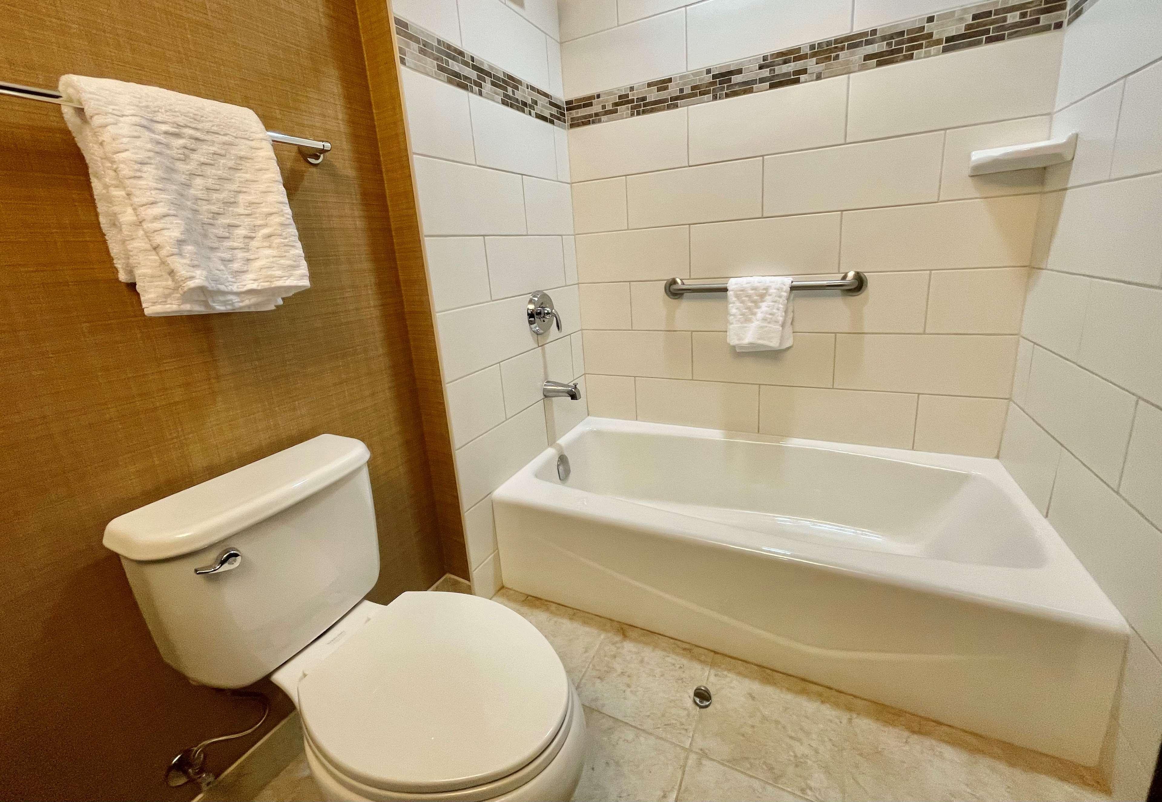 Suite King Bed Non Smoking