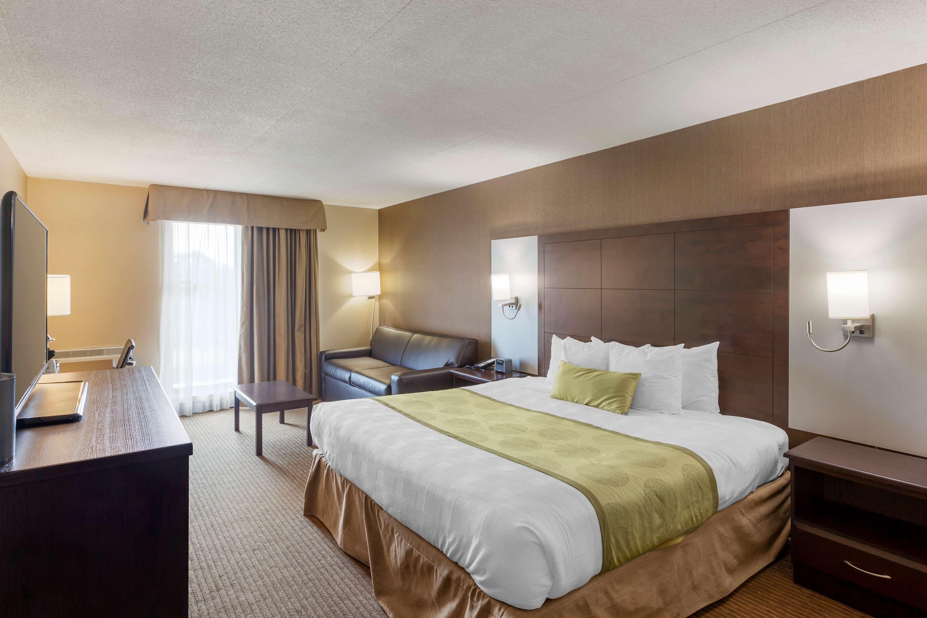 Quadruple King Bed Non Smoking