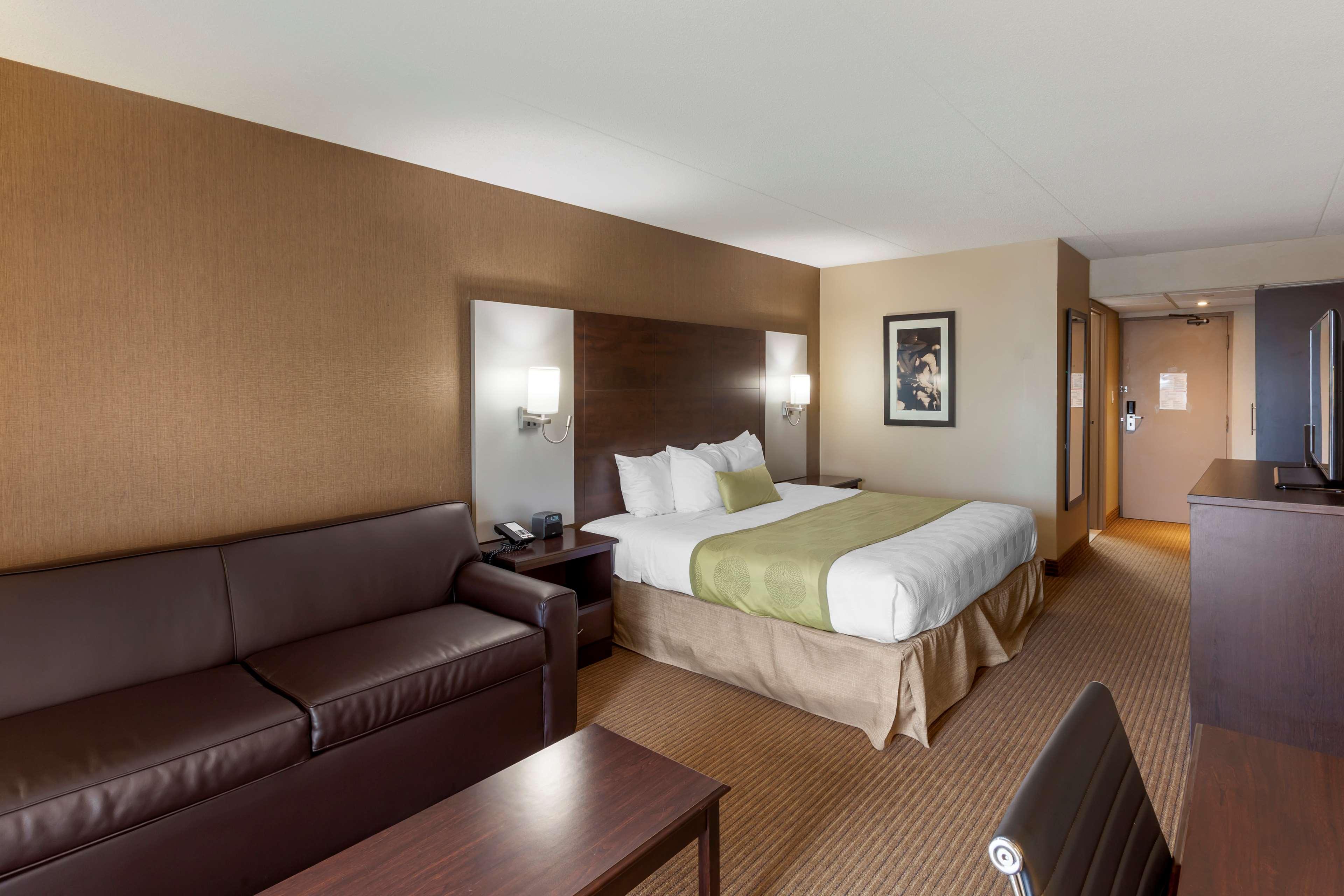 Quadruple King Bed Non Smoking