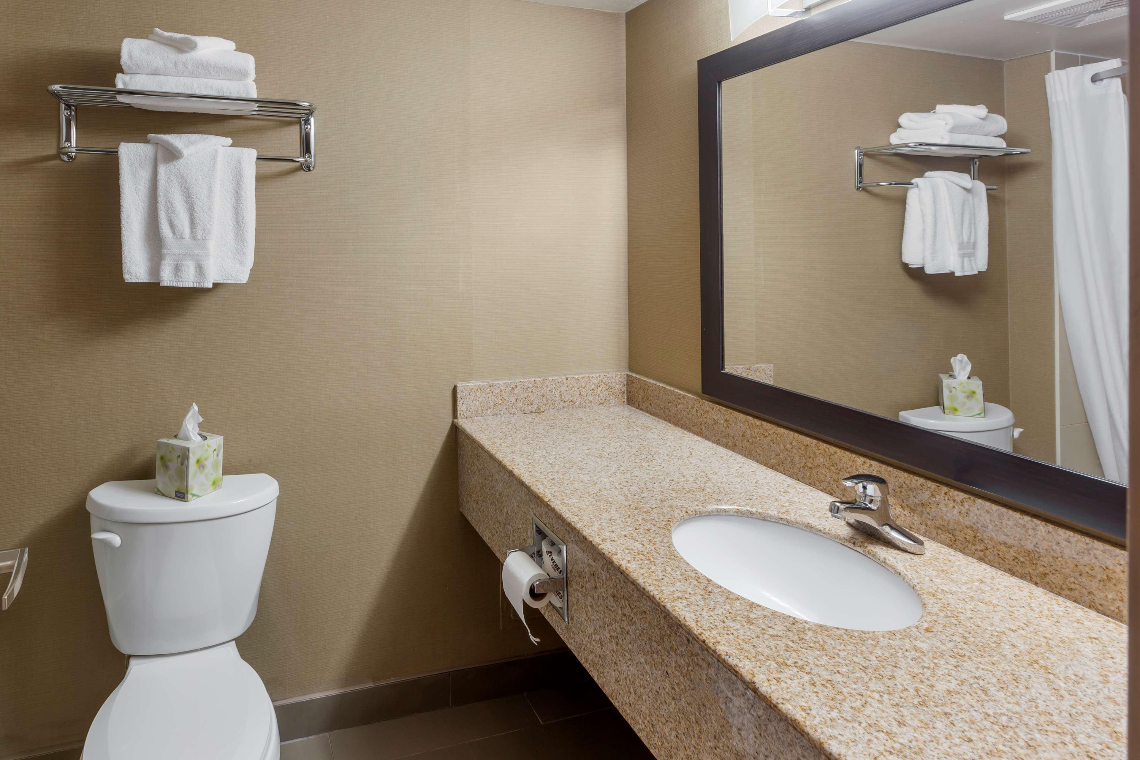 Quadruple Two Queen Beds