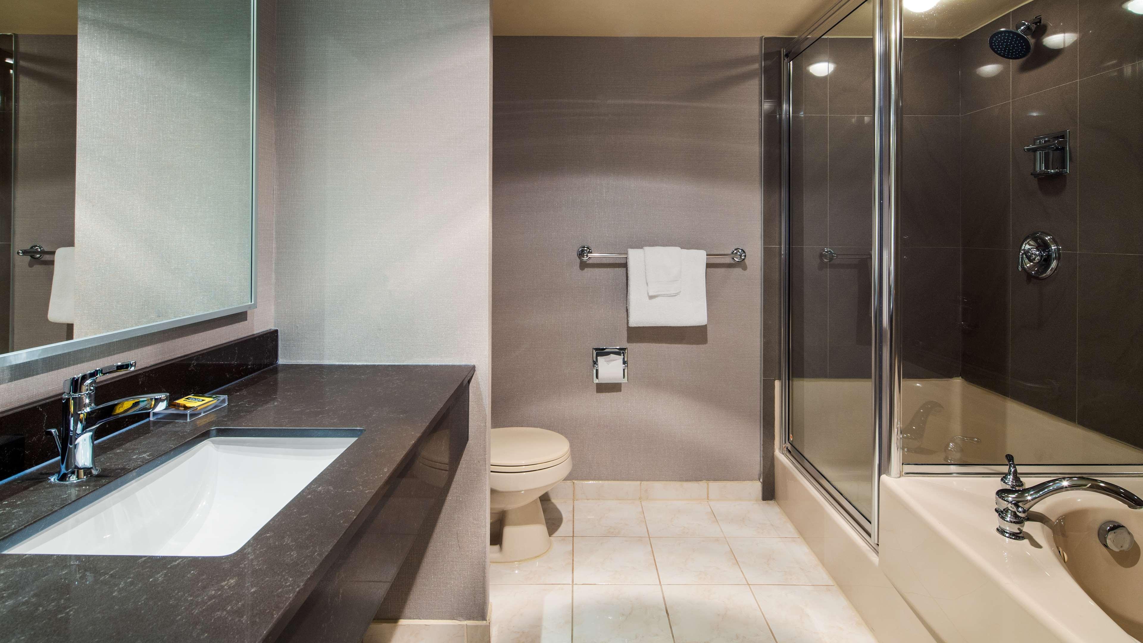 Suite King Bed Non Smoking