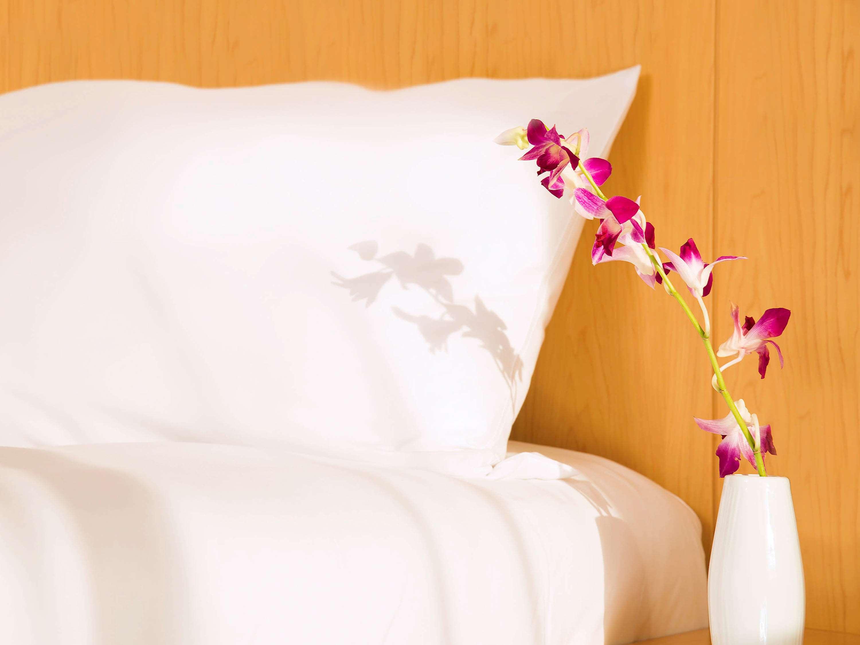 Double Queen Size Bed