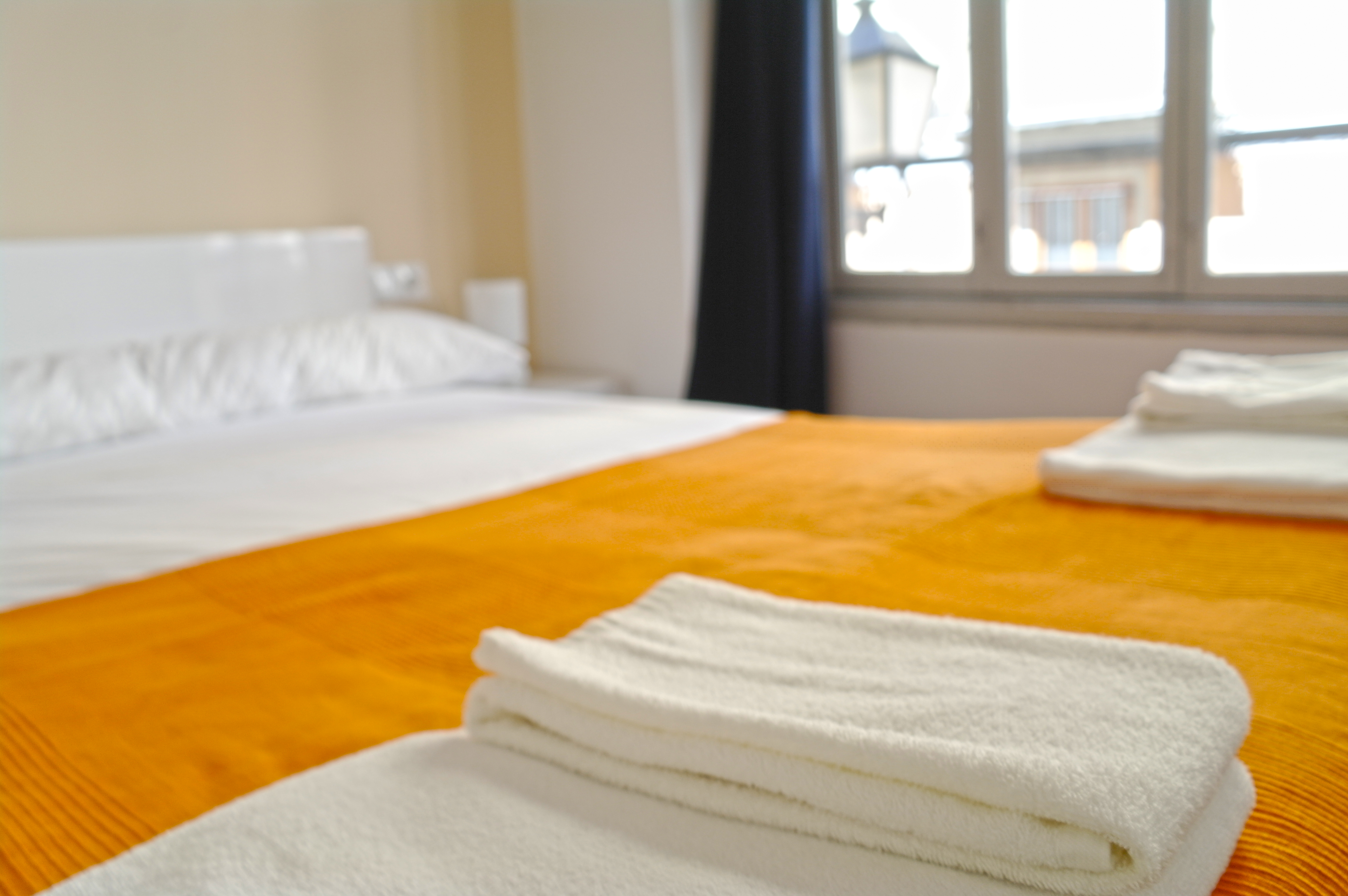 Apartment Capacity 1 One Bedroom