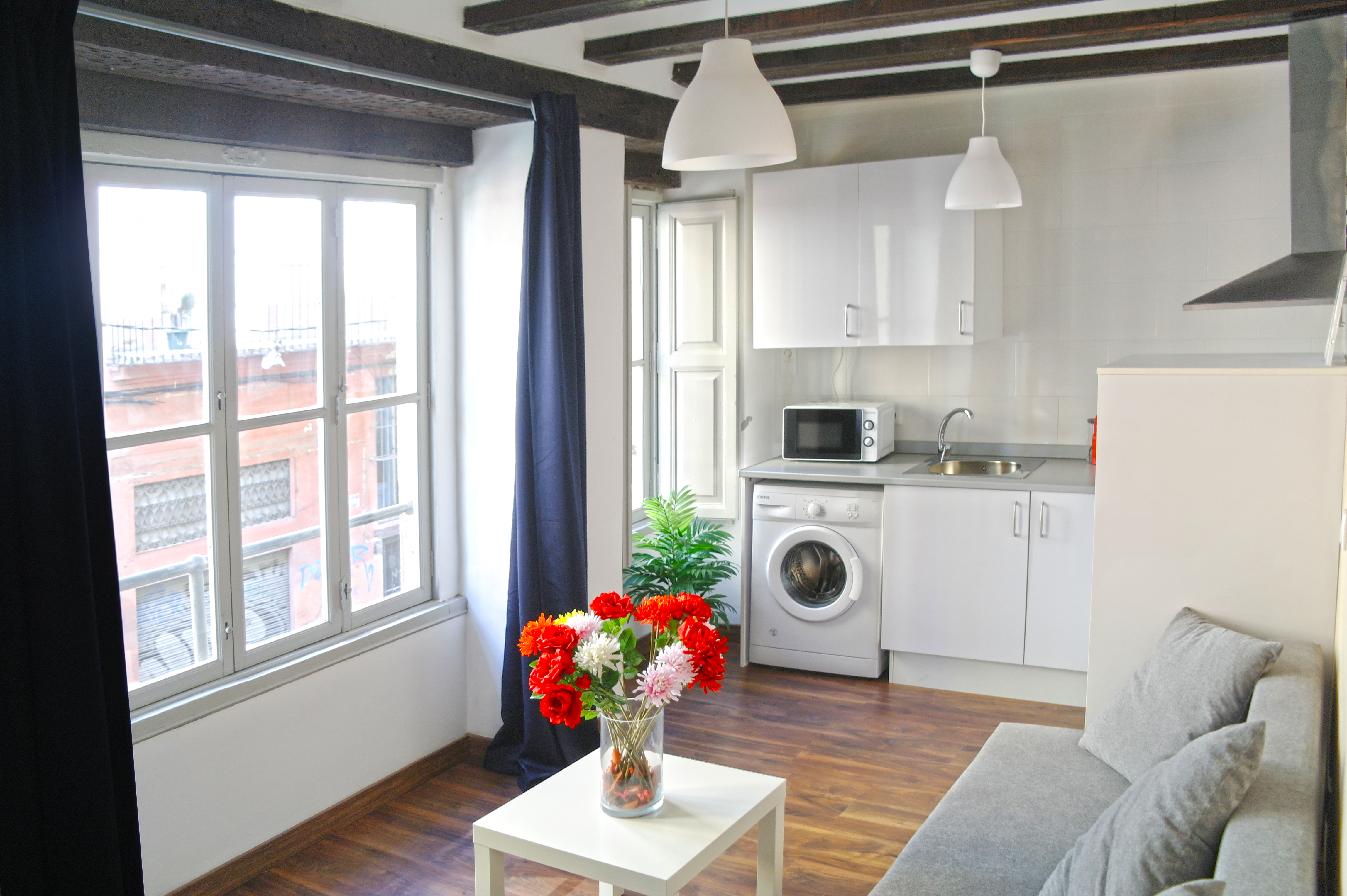 Apartment Capacity 1 One Bedroom