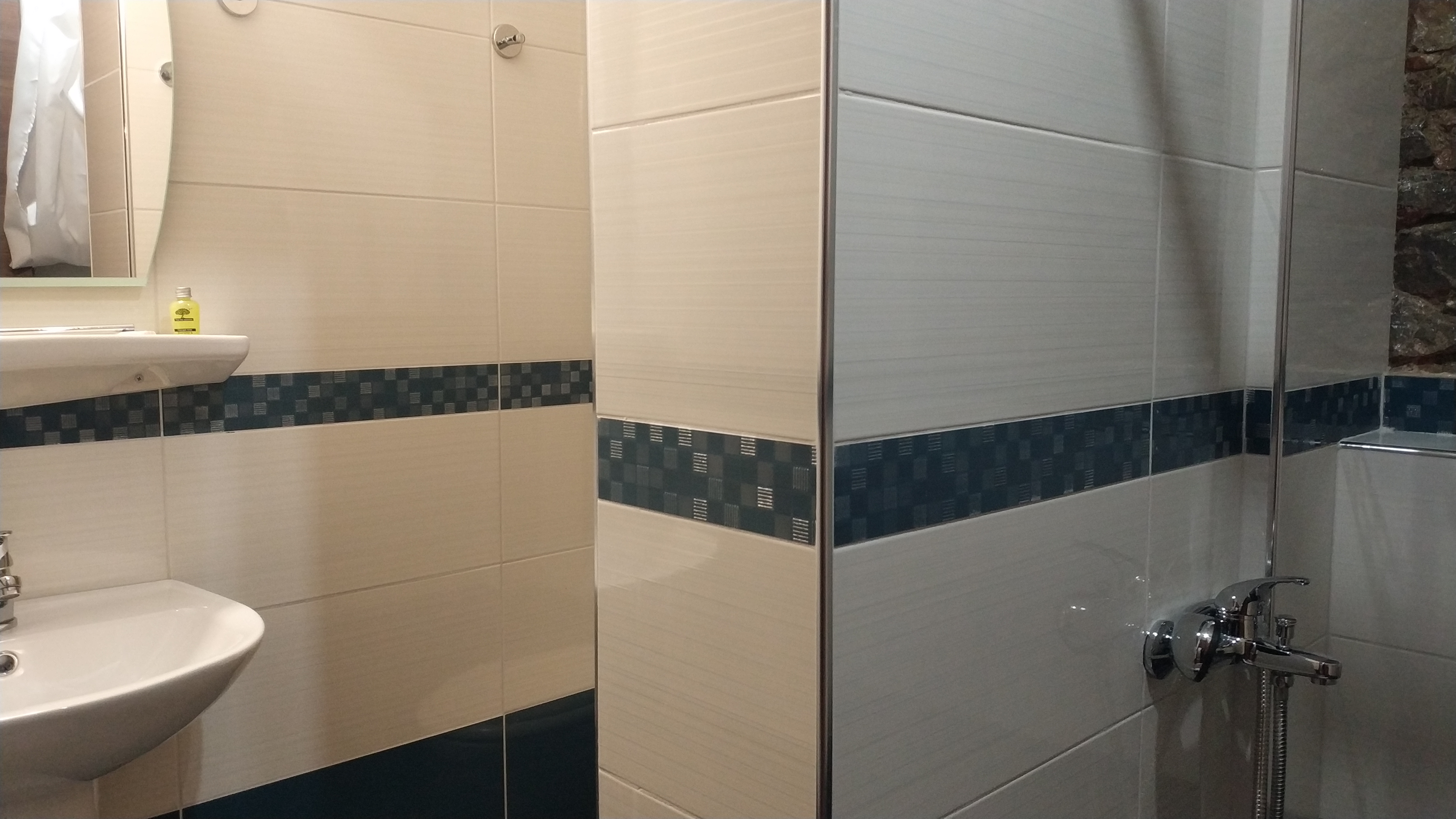 Double or Twin Economy