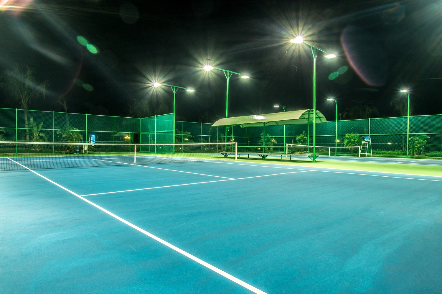 Sports and Entertainment