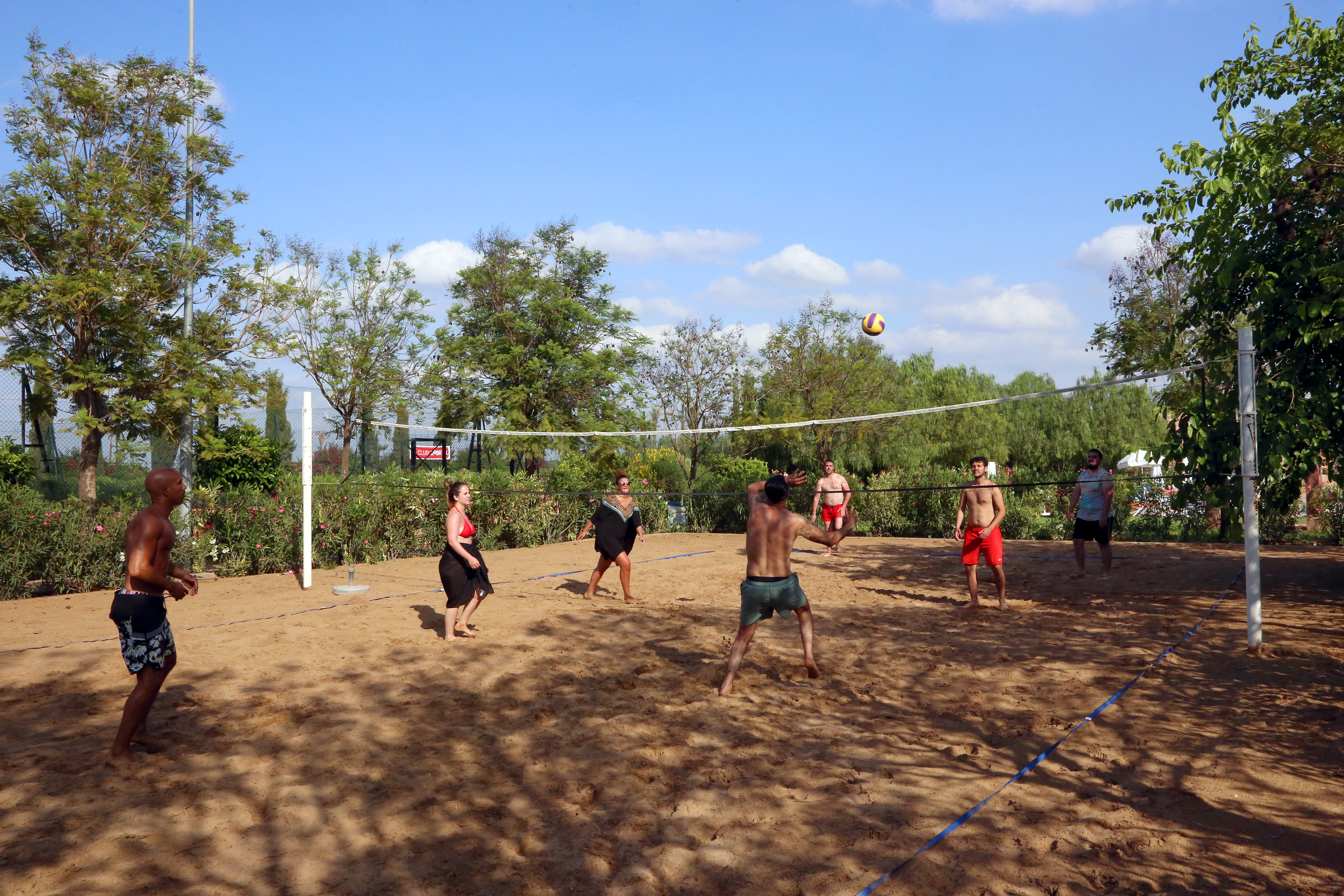 Sports and Entertainment