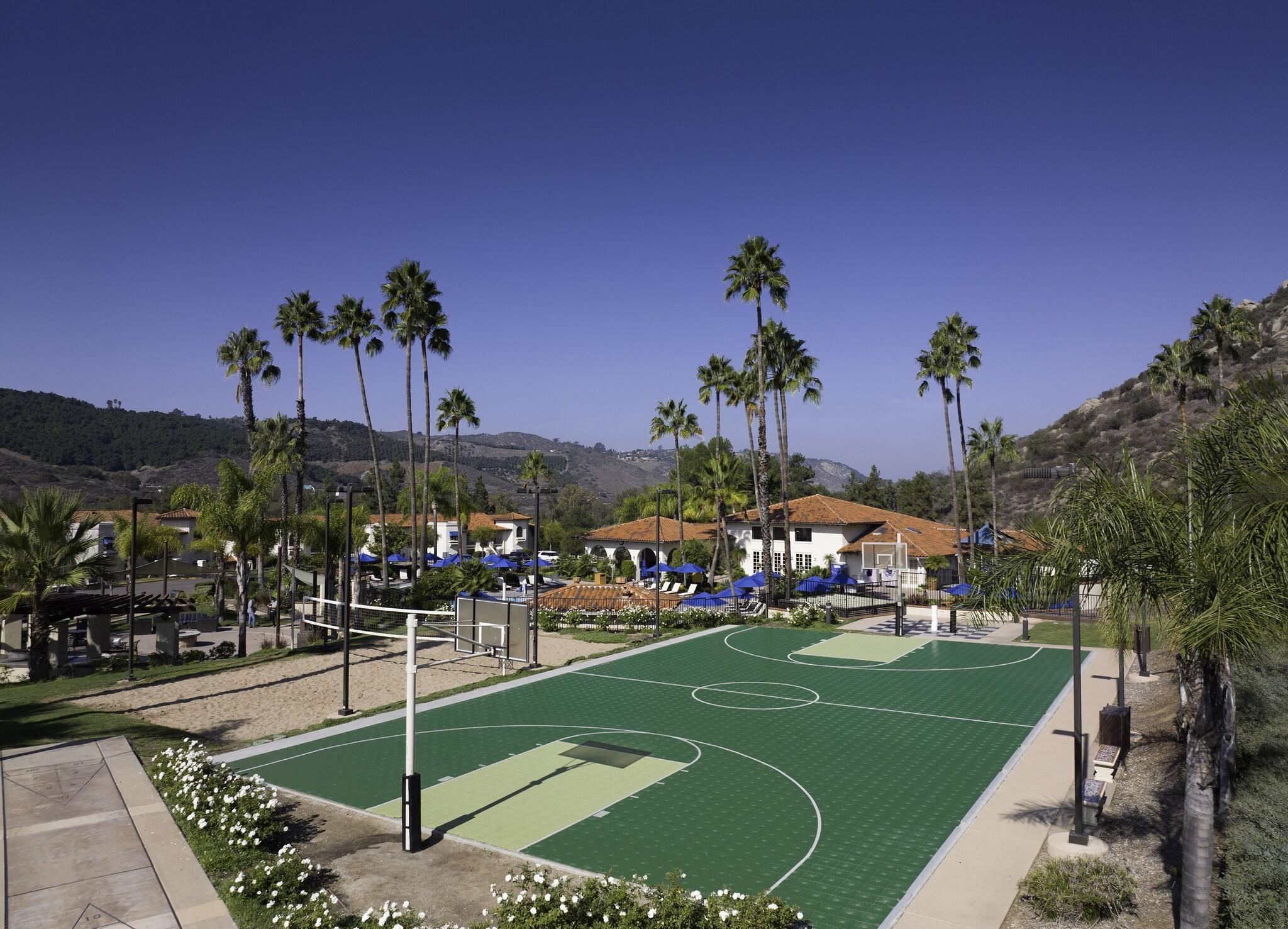 Sports and Entertainment