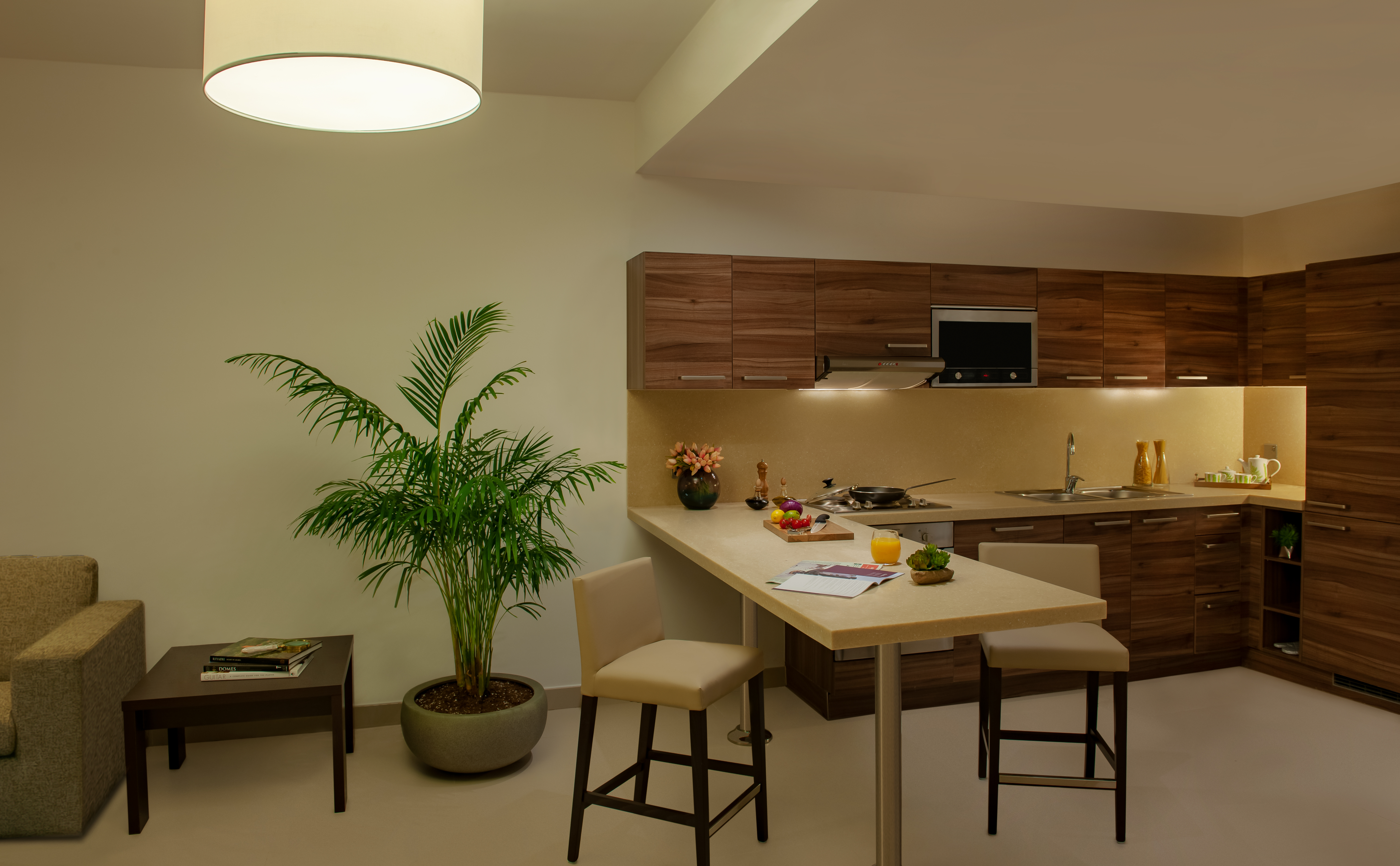 Apartment Executive One Bedroom