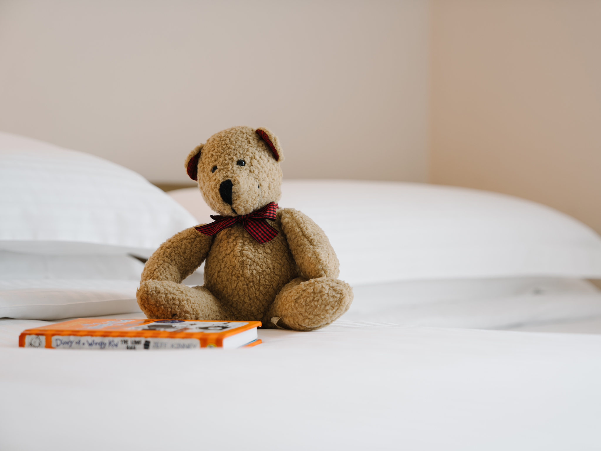 Family Room Superior