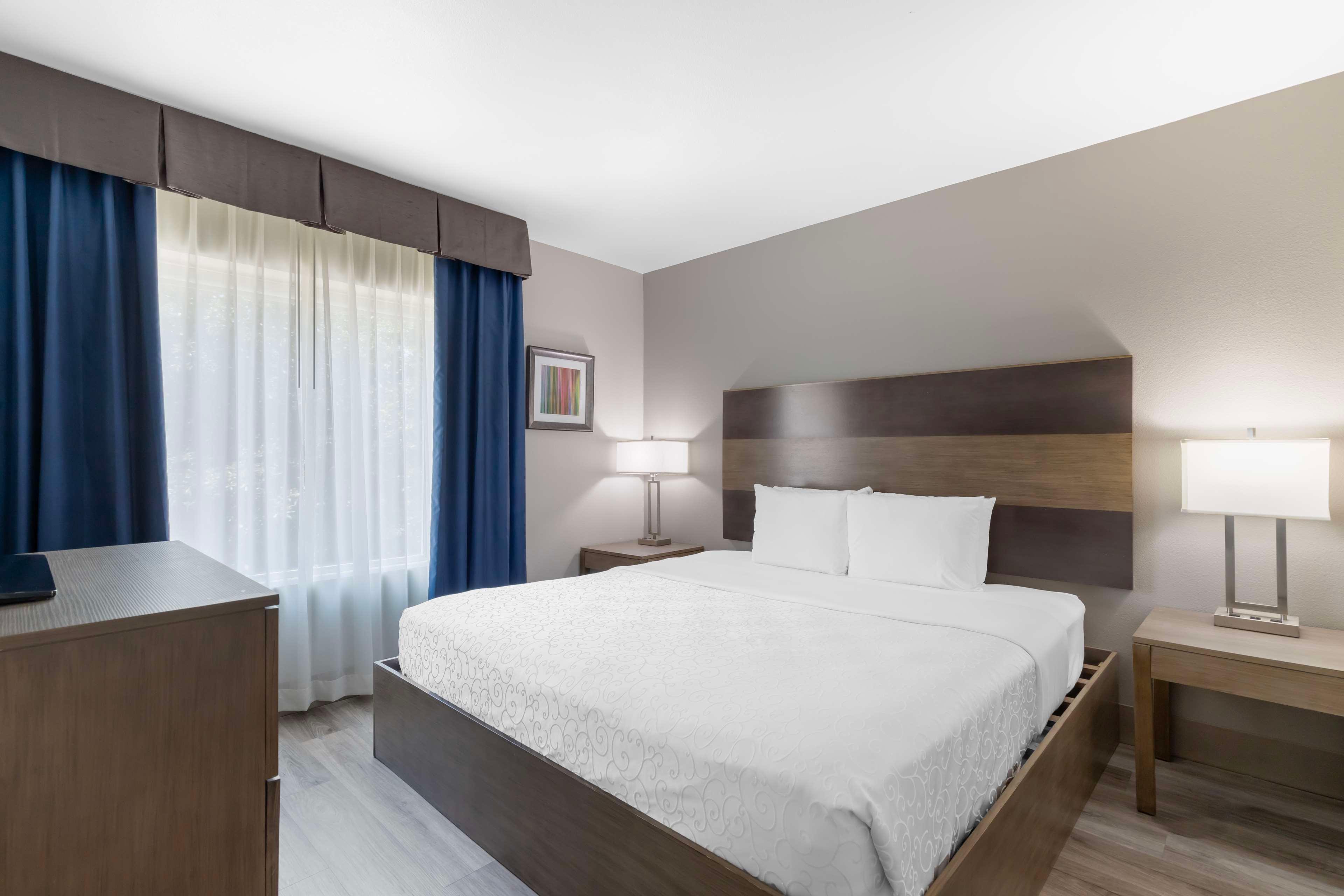 Suite King Bed Non Smoking