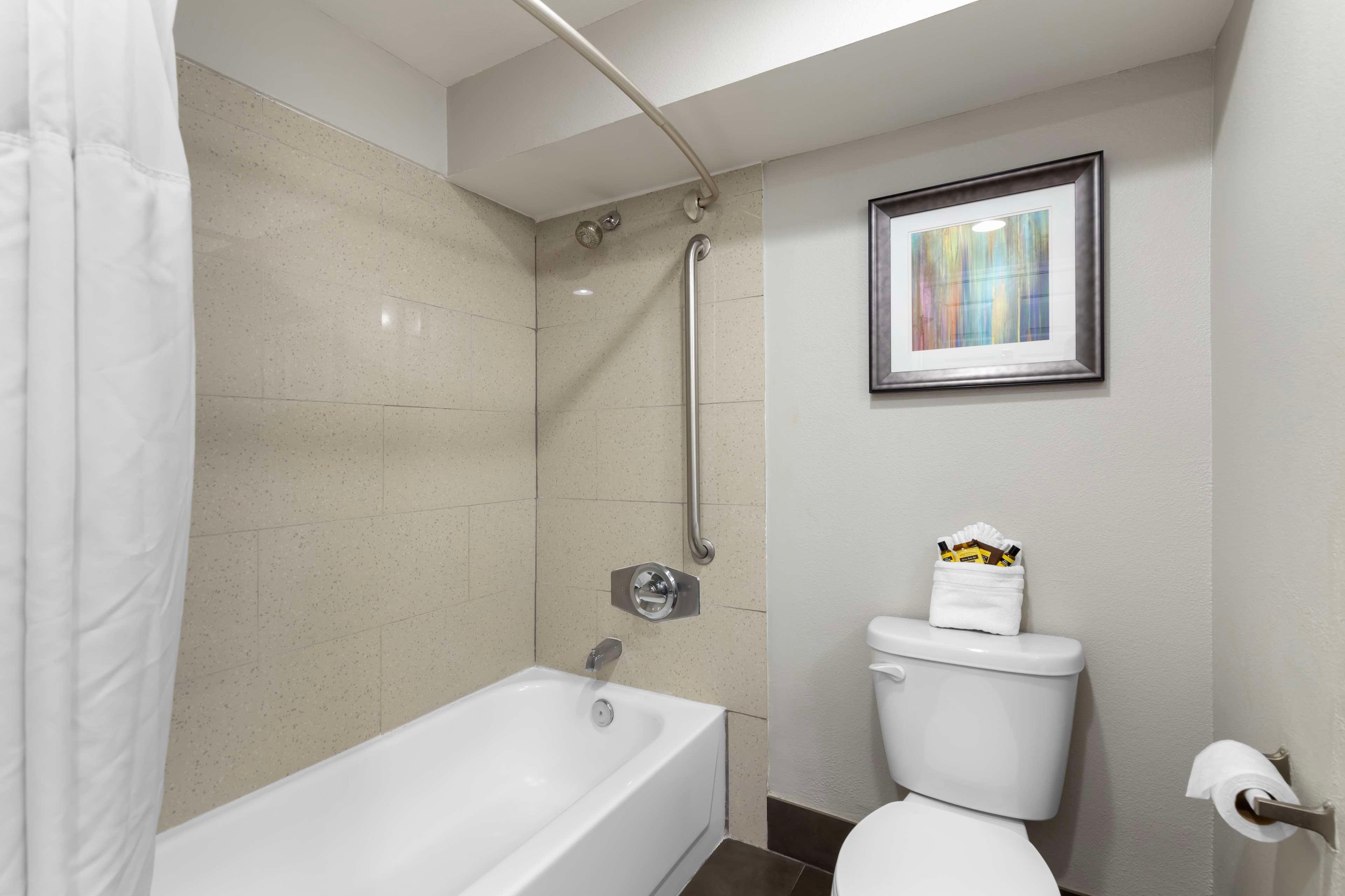 Suite King Bed Non Smoking