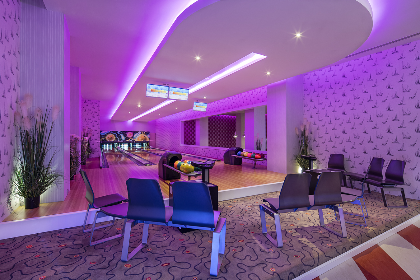 Sports and Entertainment