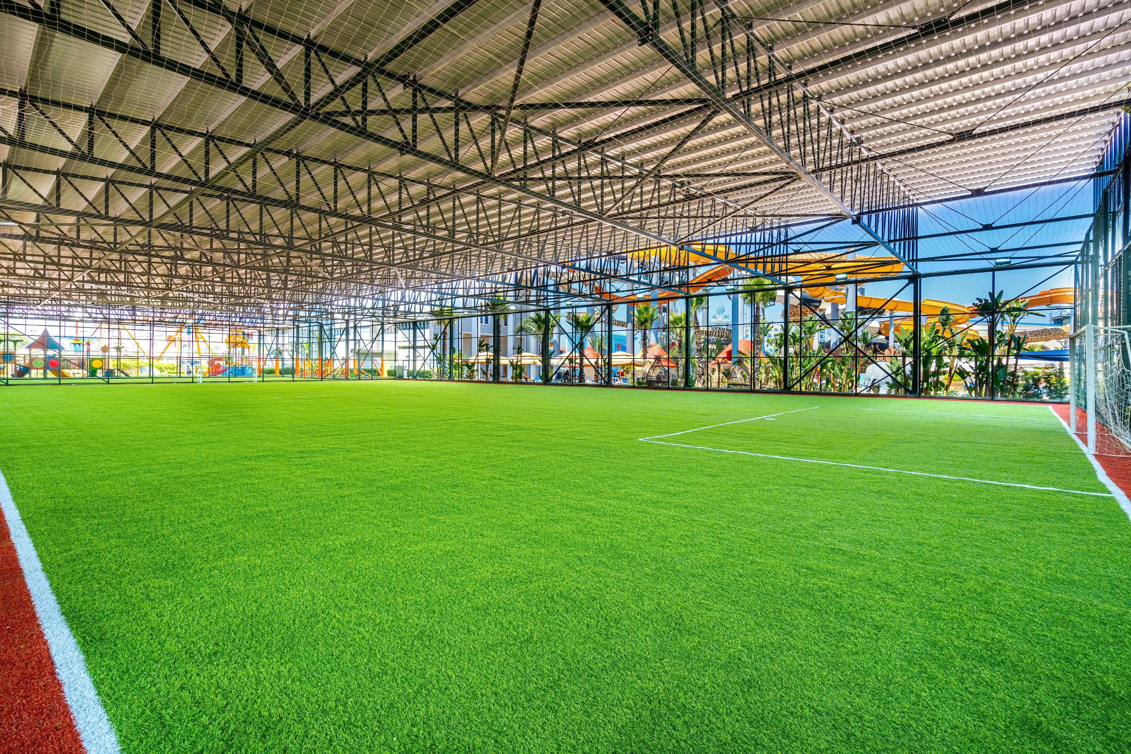 Sports and Entertainment