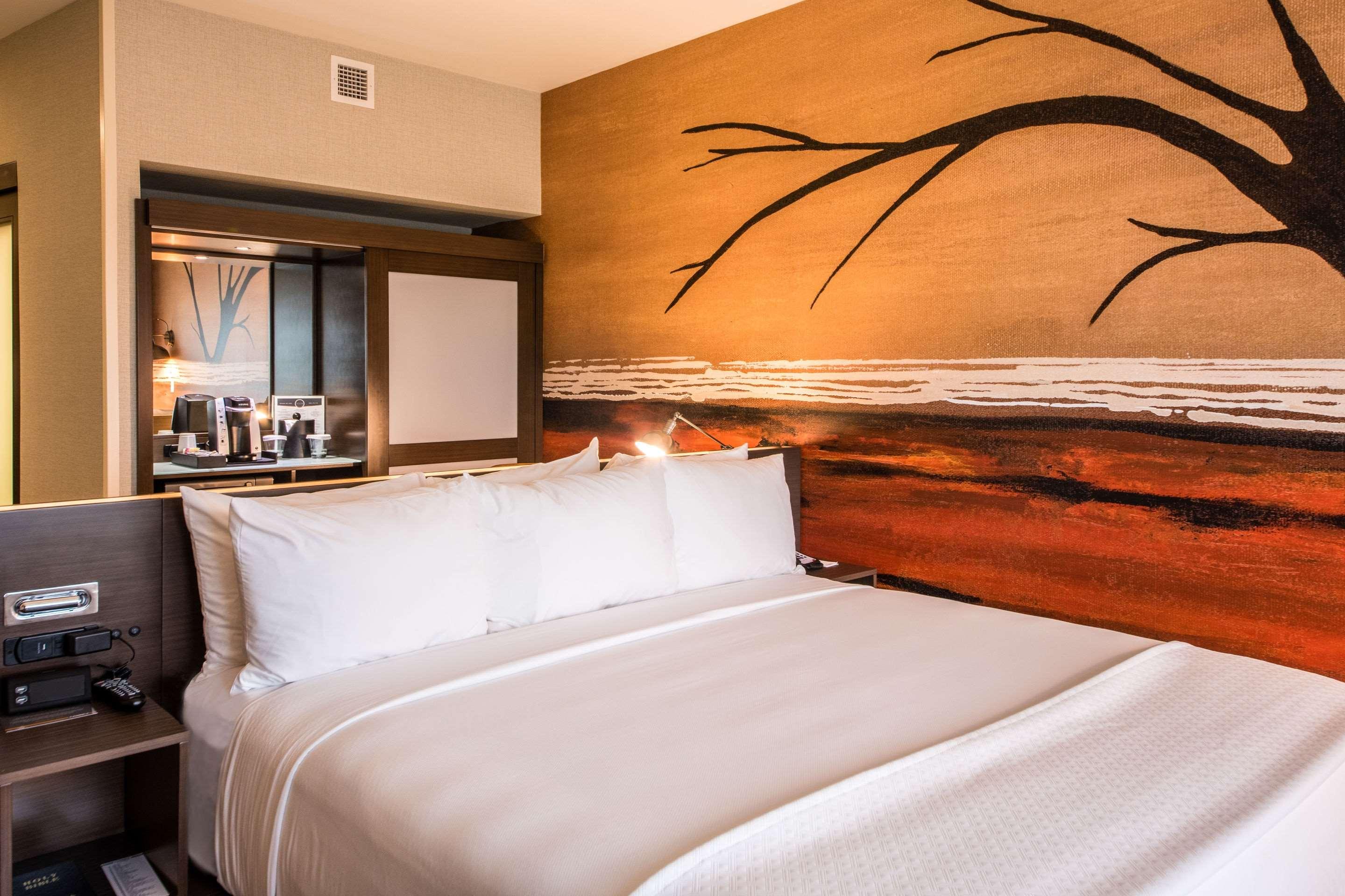 Suite King Bed Non Smoking