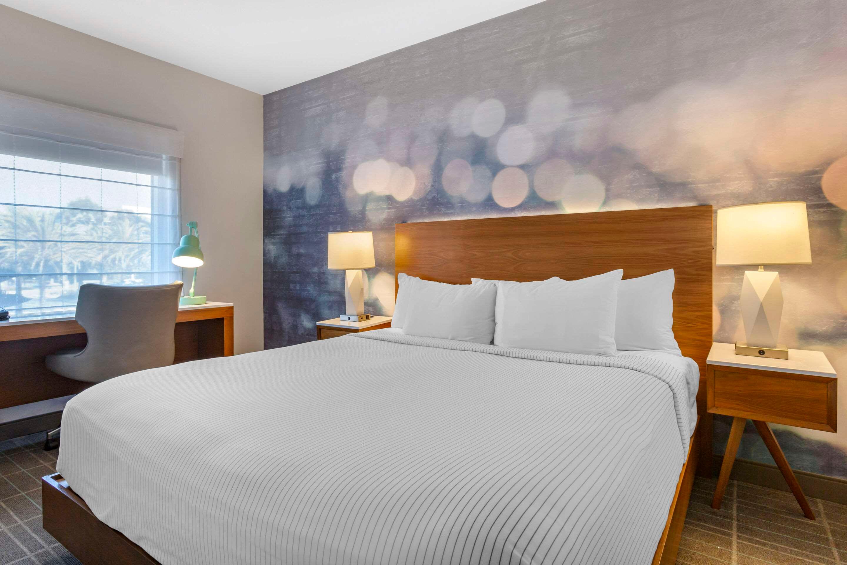 Suite King Bed Non Smoking