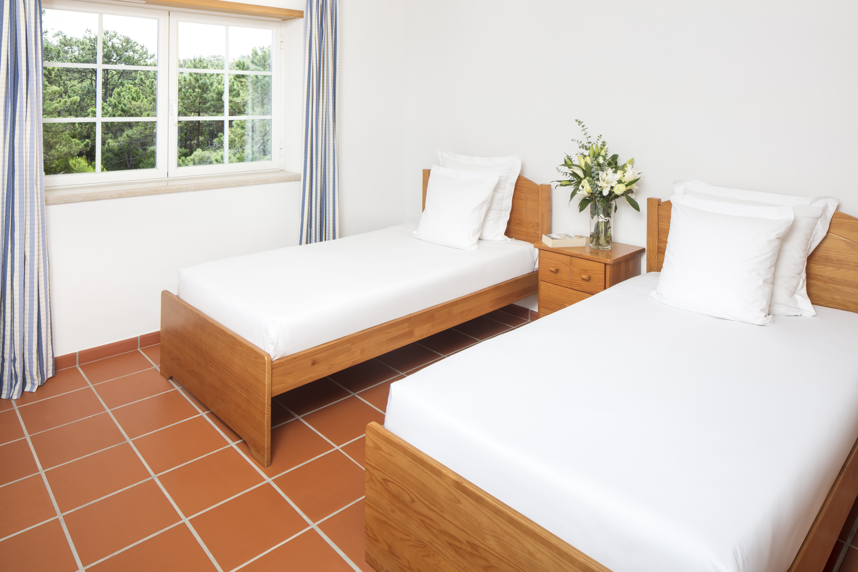 Apartment Two Bedrooms