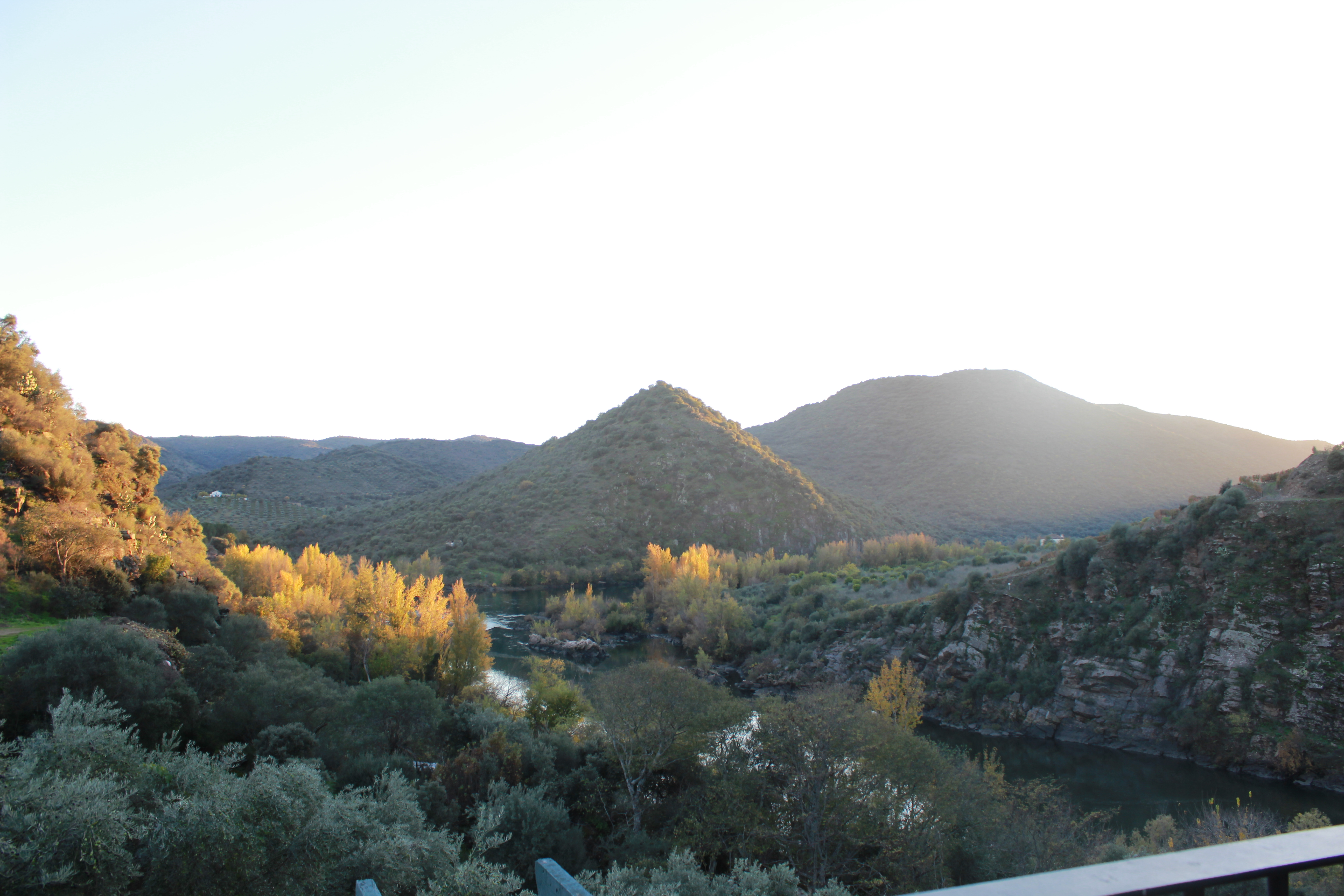 Double or Twin with Balcony