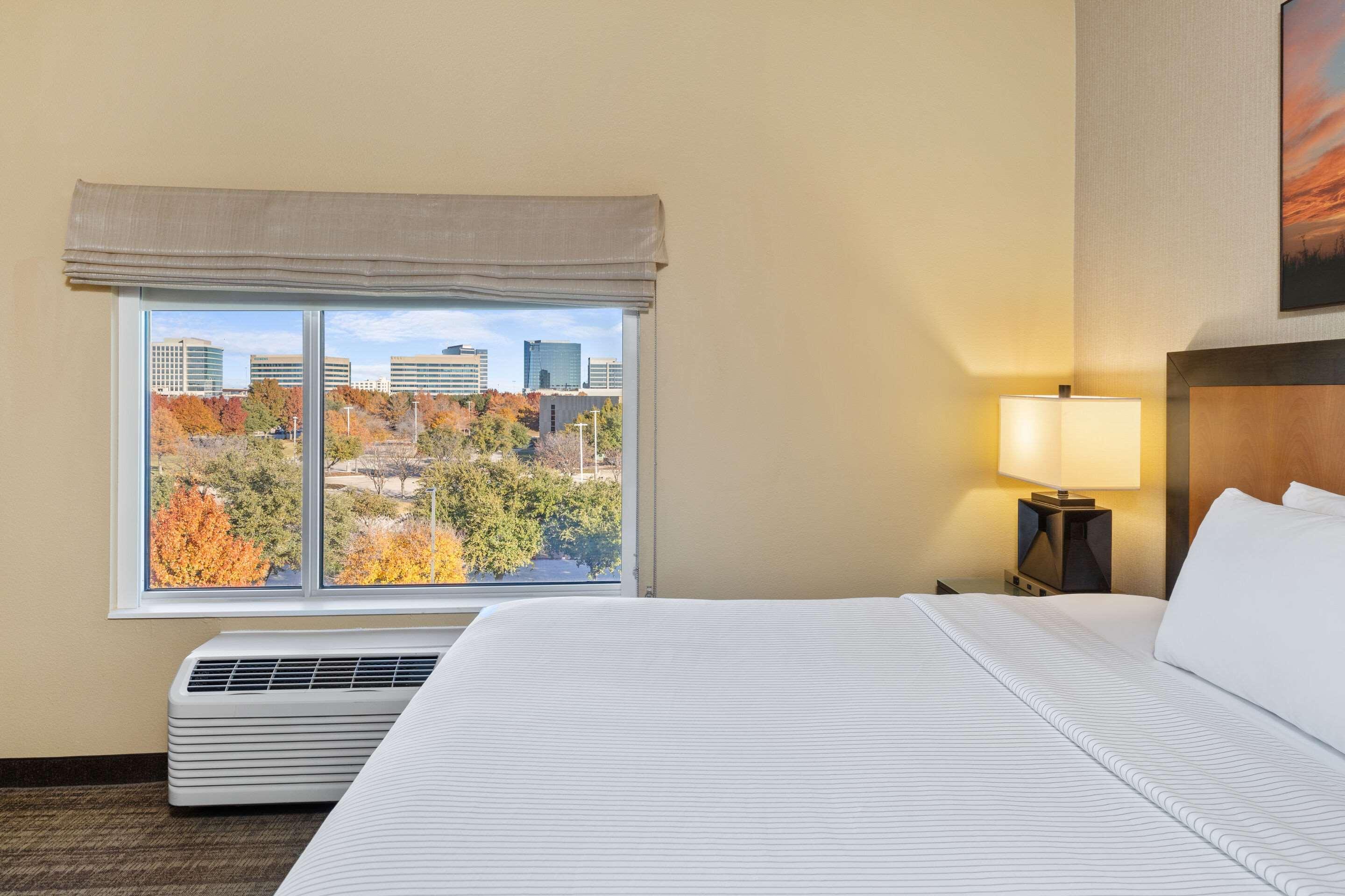 Suite King Bed Non Smoking