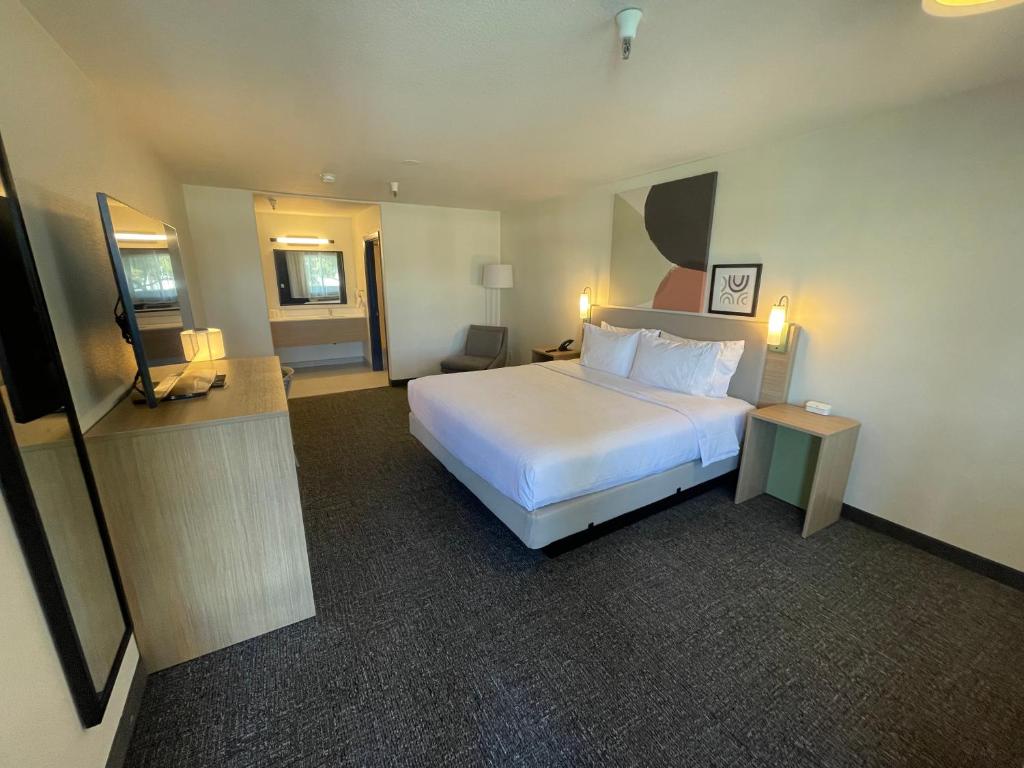 Double Accessible King Size Bed