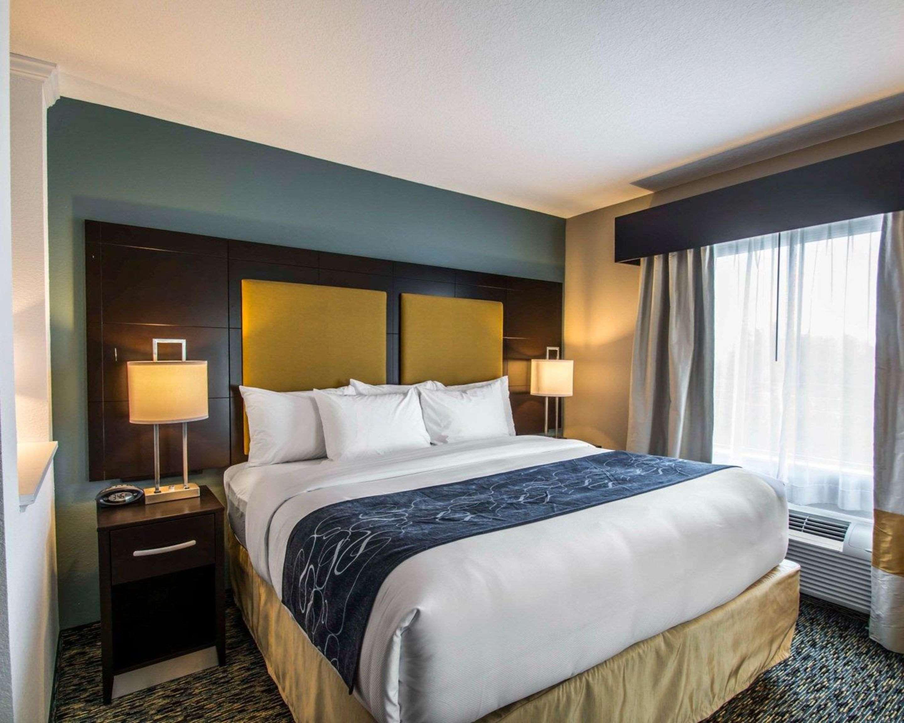 Suite King Bed Non Smoking