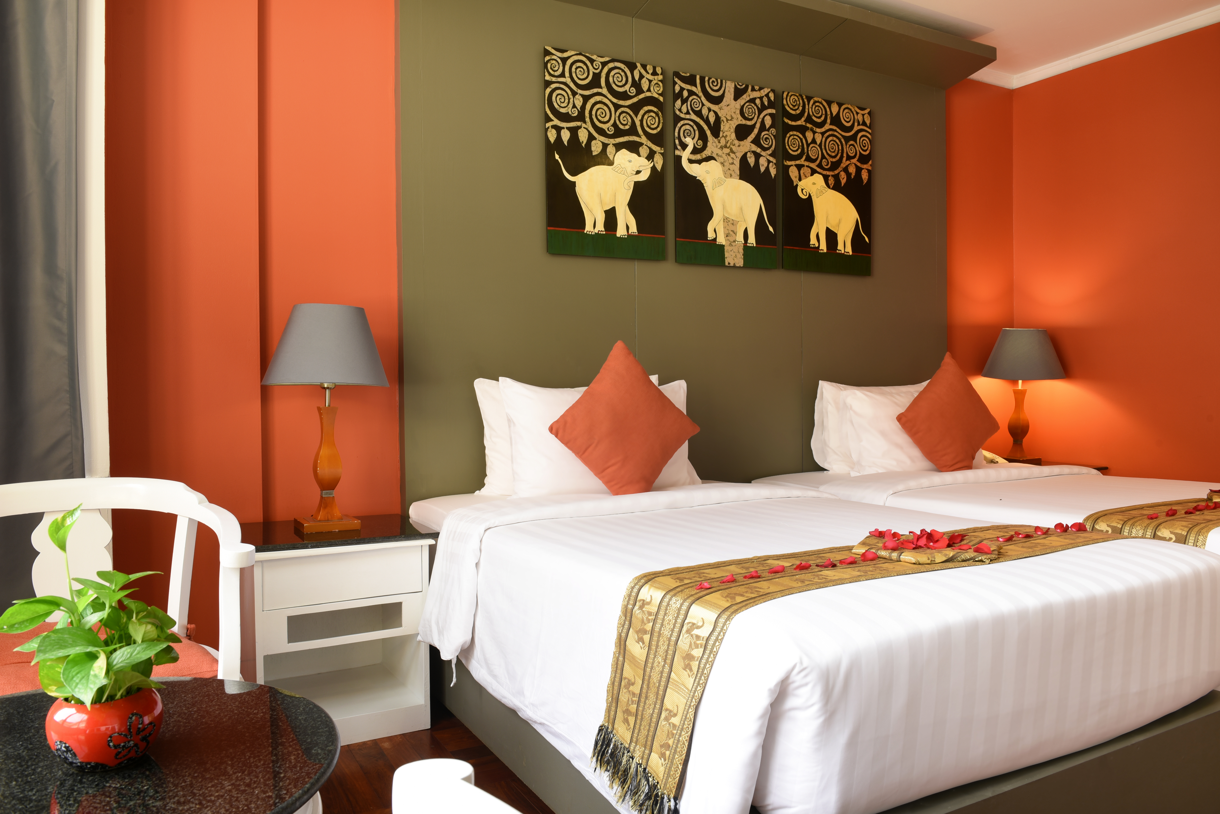 Double or Twin Superior