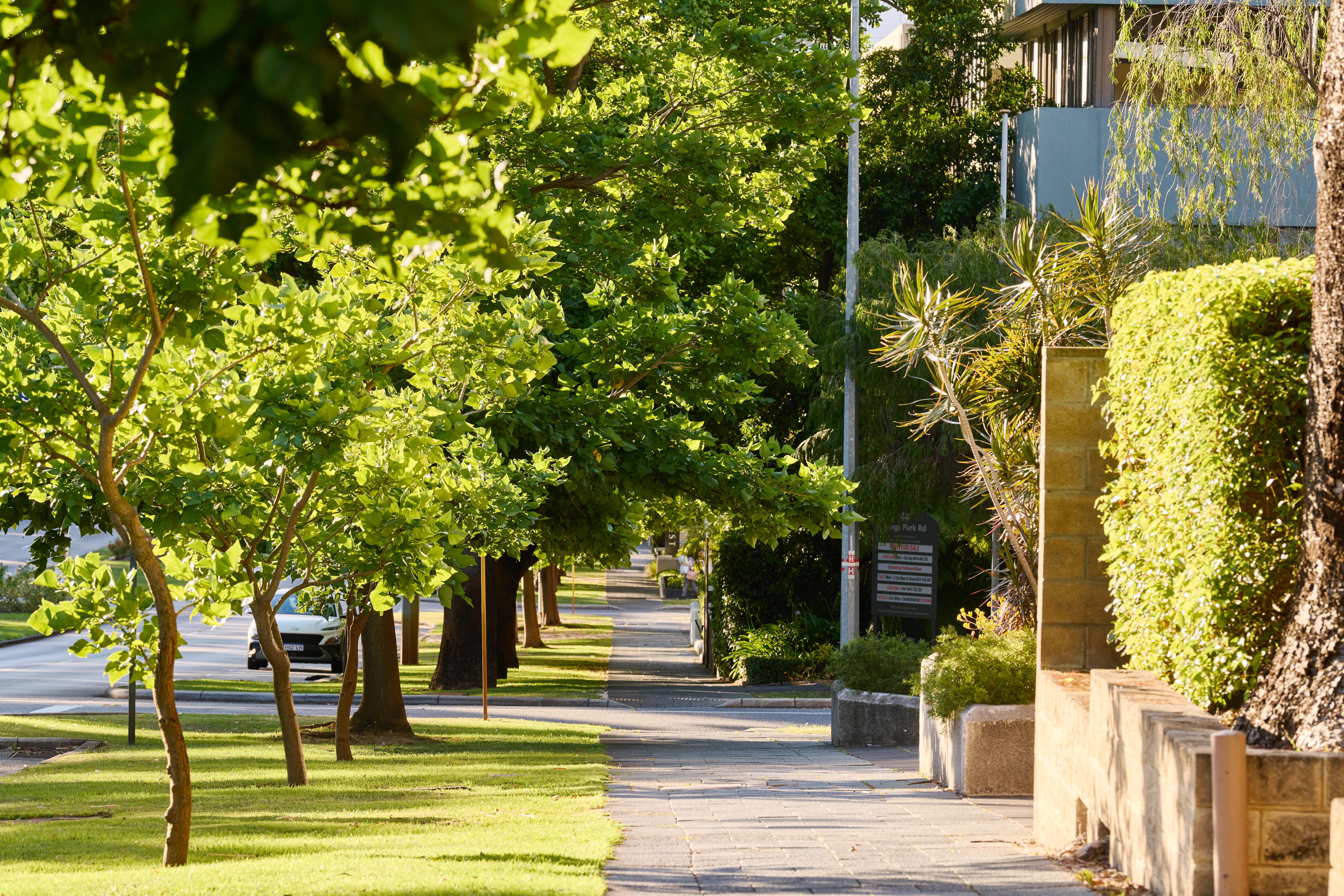 Double Deluxe King Bed