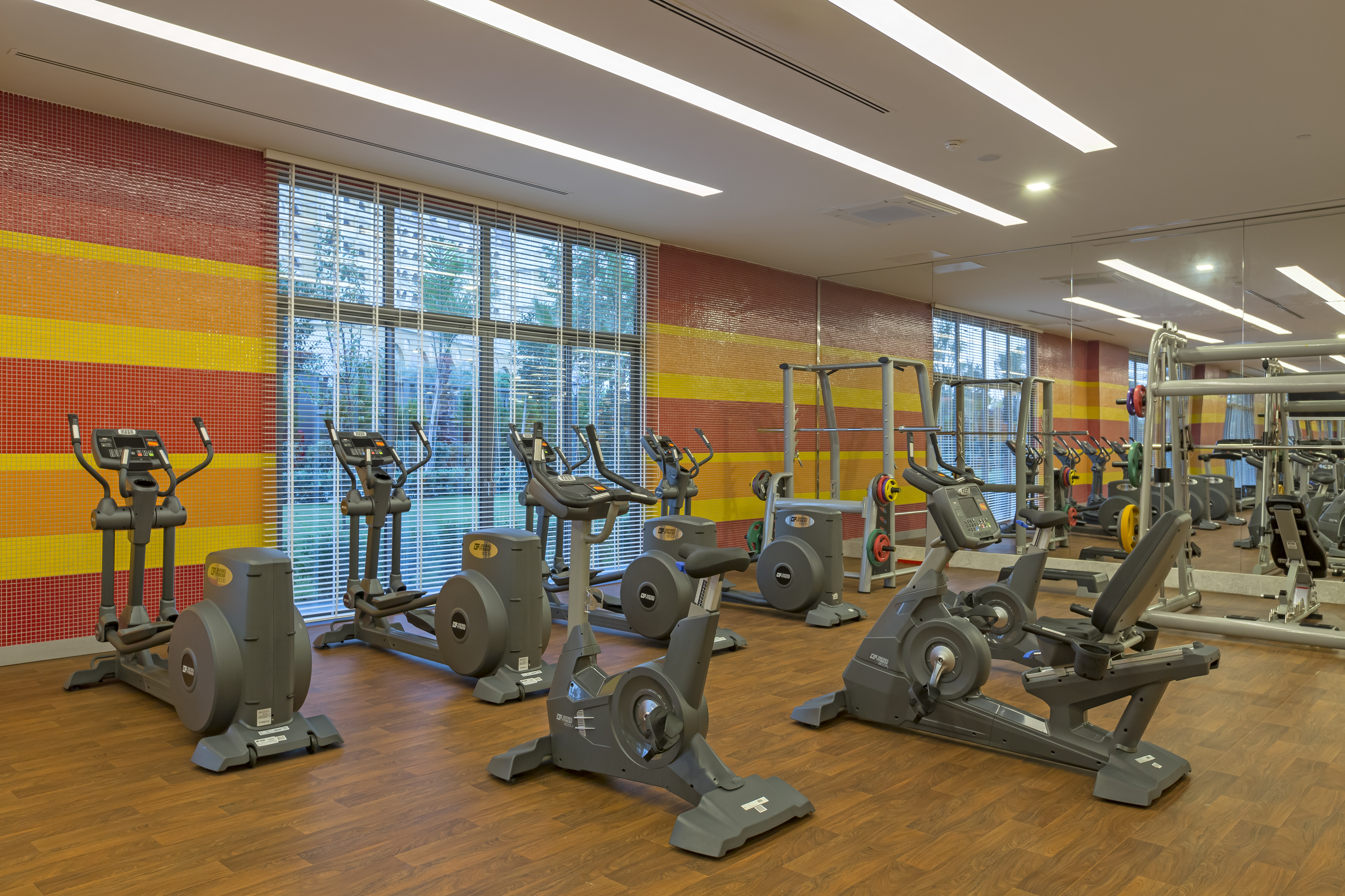 Sports and Entertainment