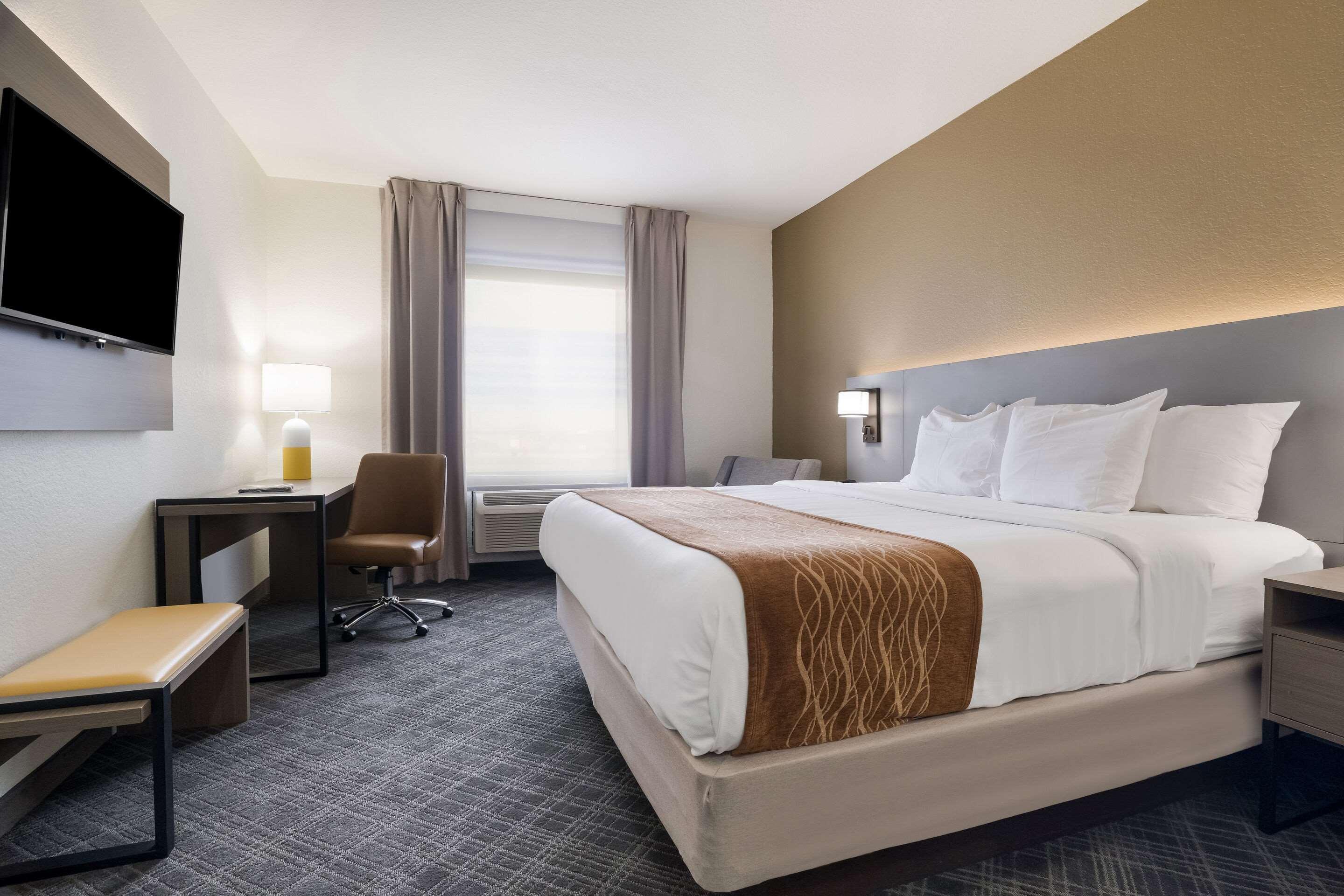 Double King Bed Non Smoking