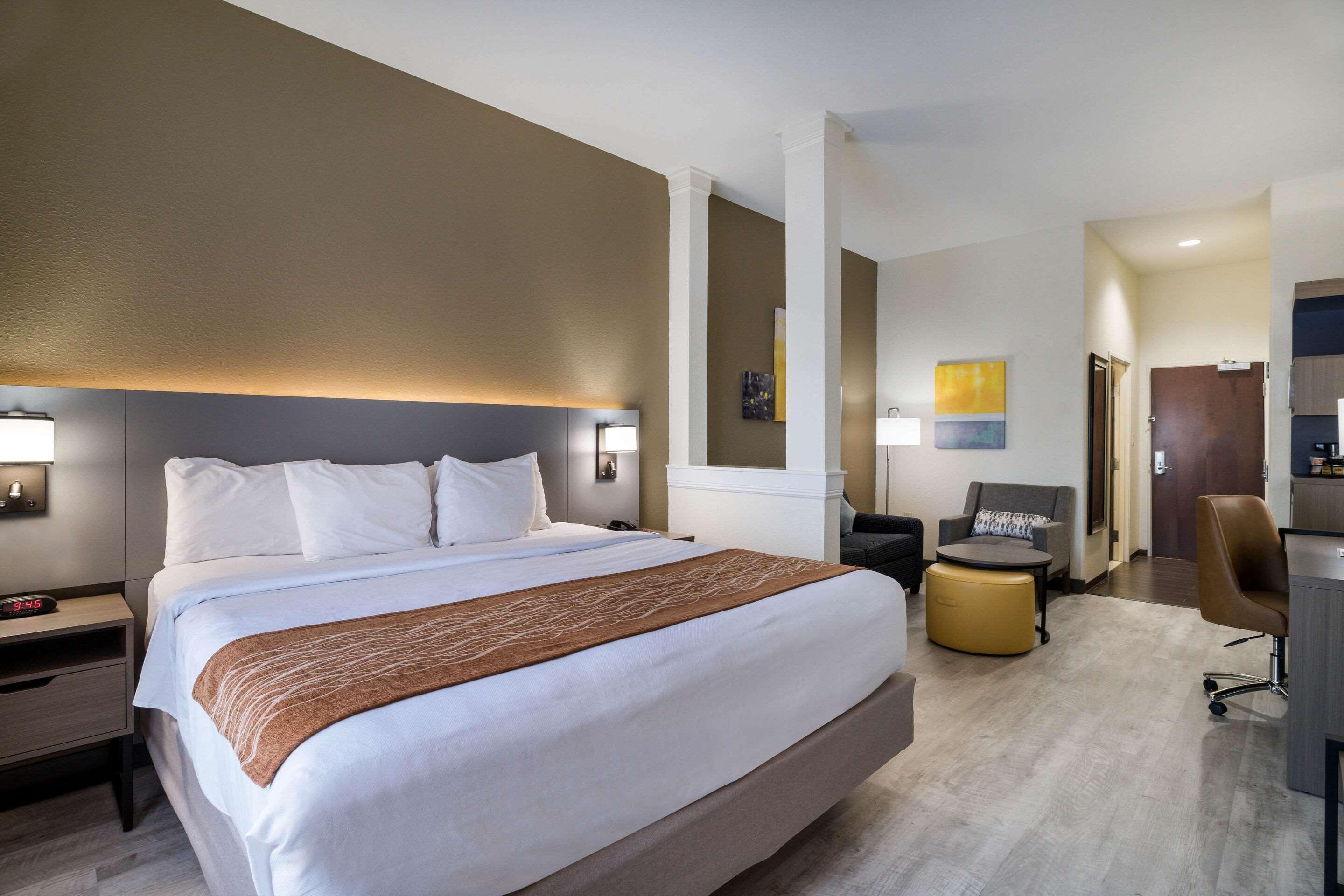 Suite King Bed Non Smoking