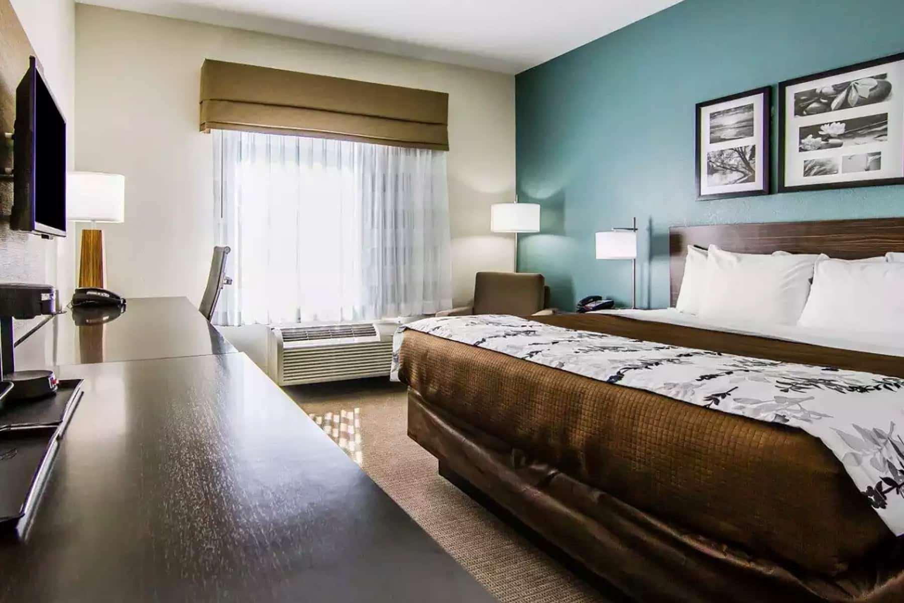 Room Accessible King Size Bed