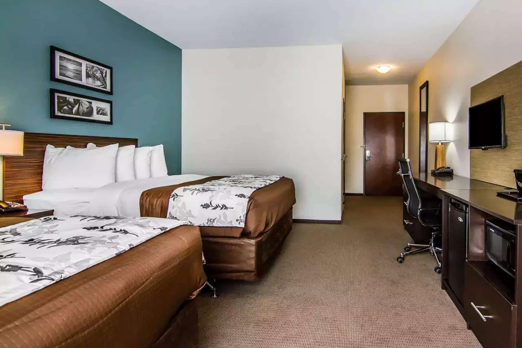 Room Accessible-two Queen Beds