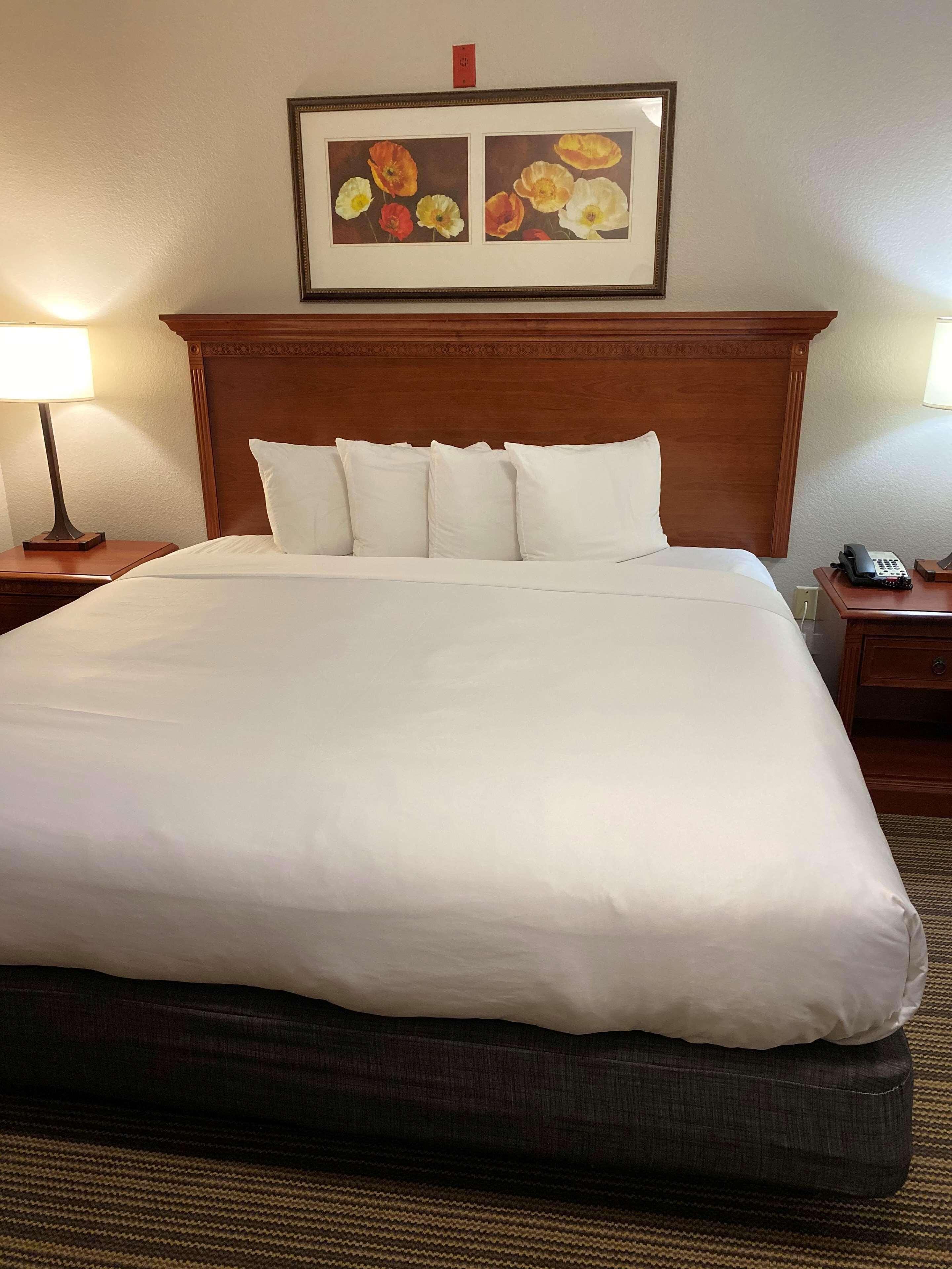 Suite Accessible King Size Bed