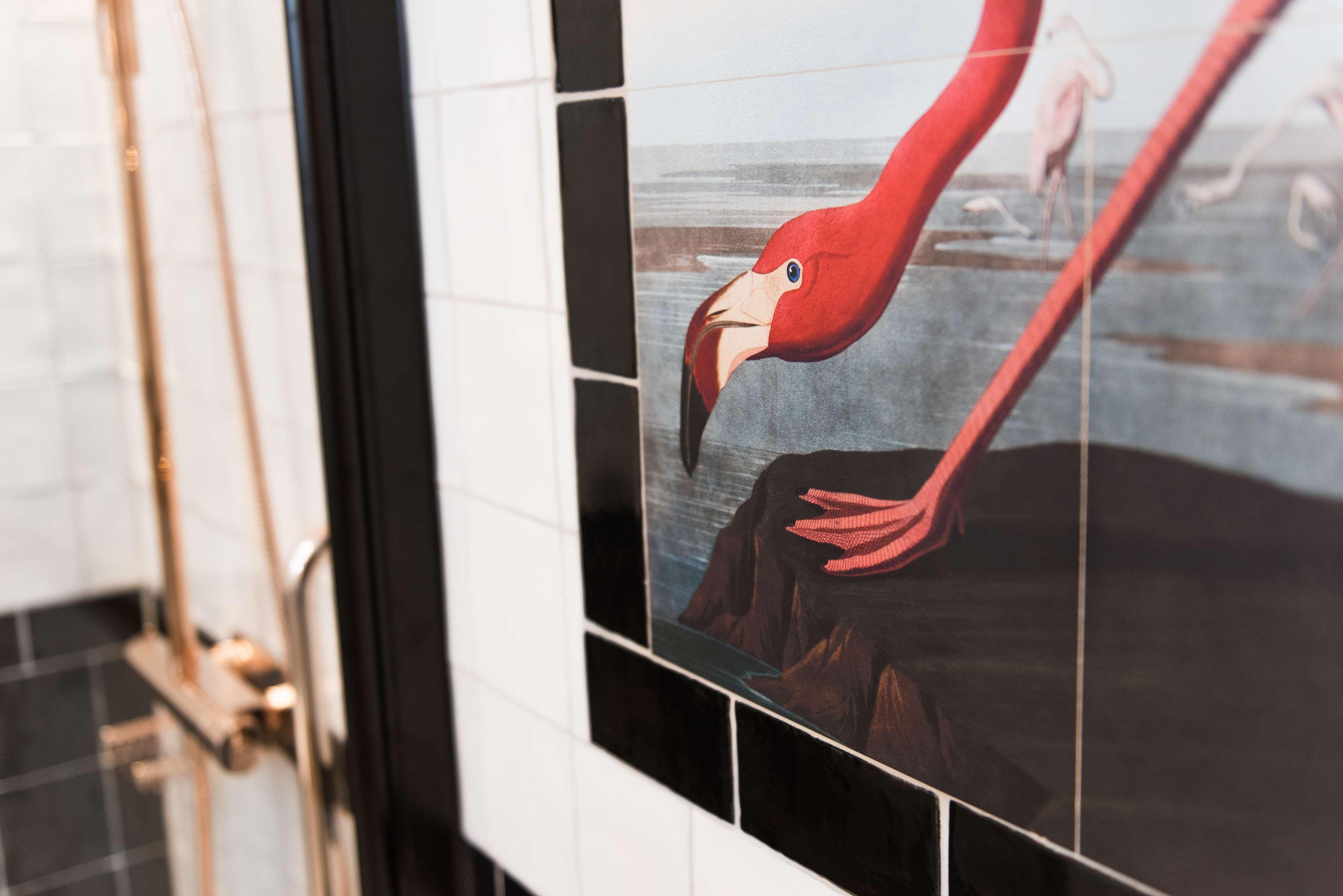 Double Single Standard